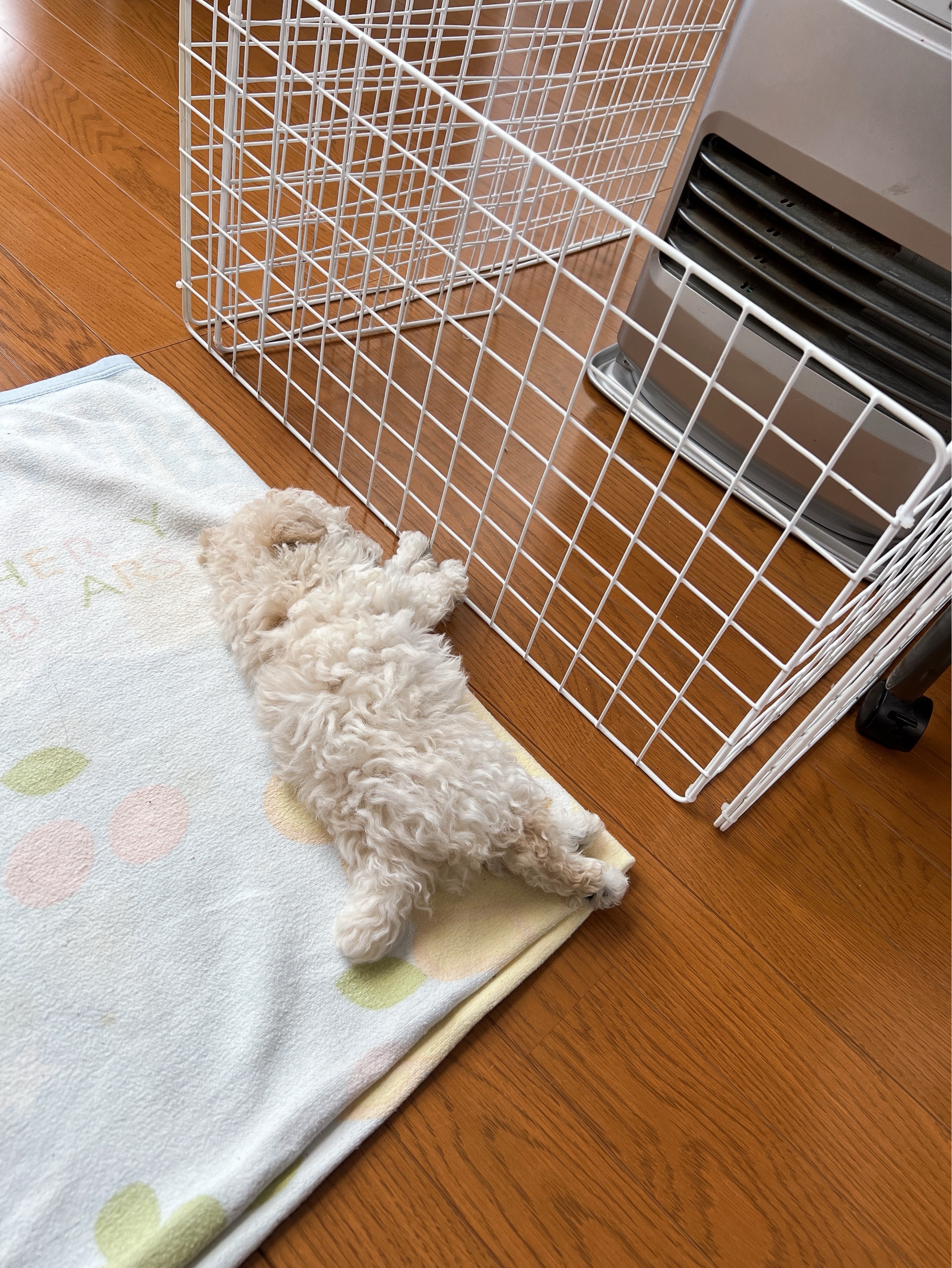 るい