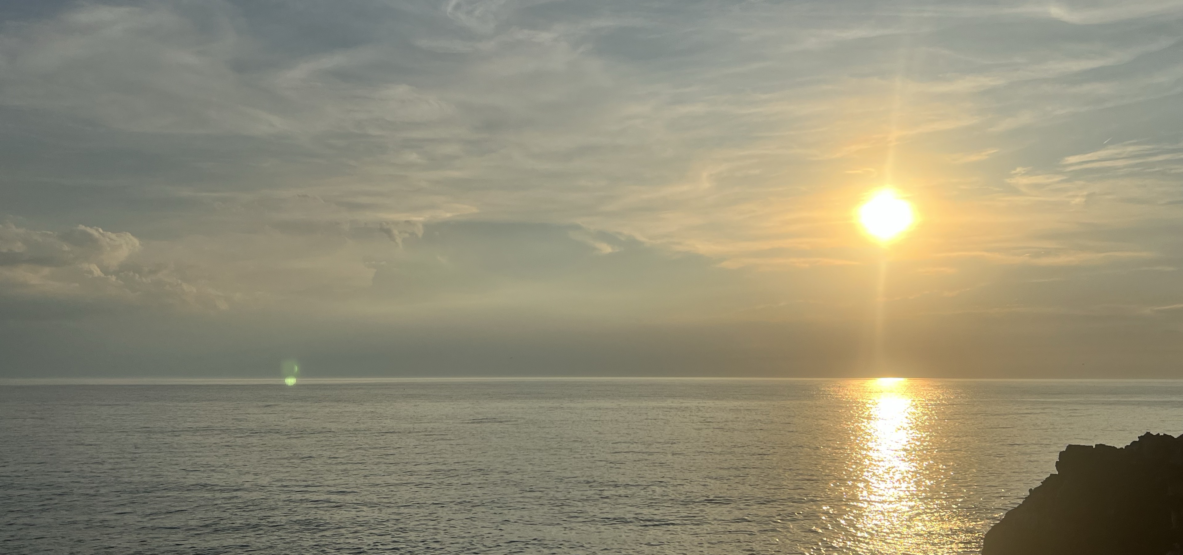 👅✌️ ぺᩚロ