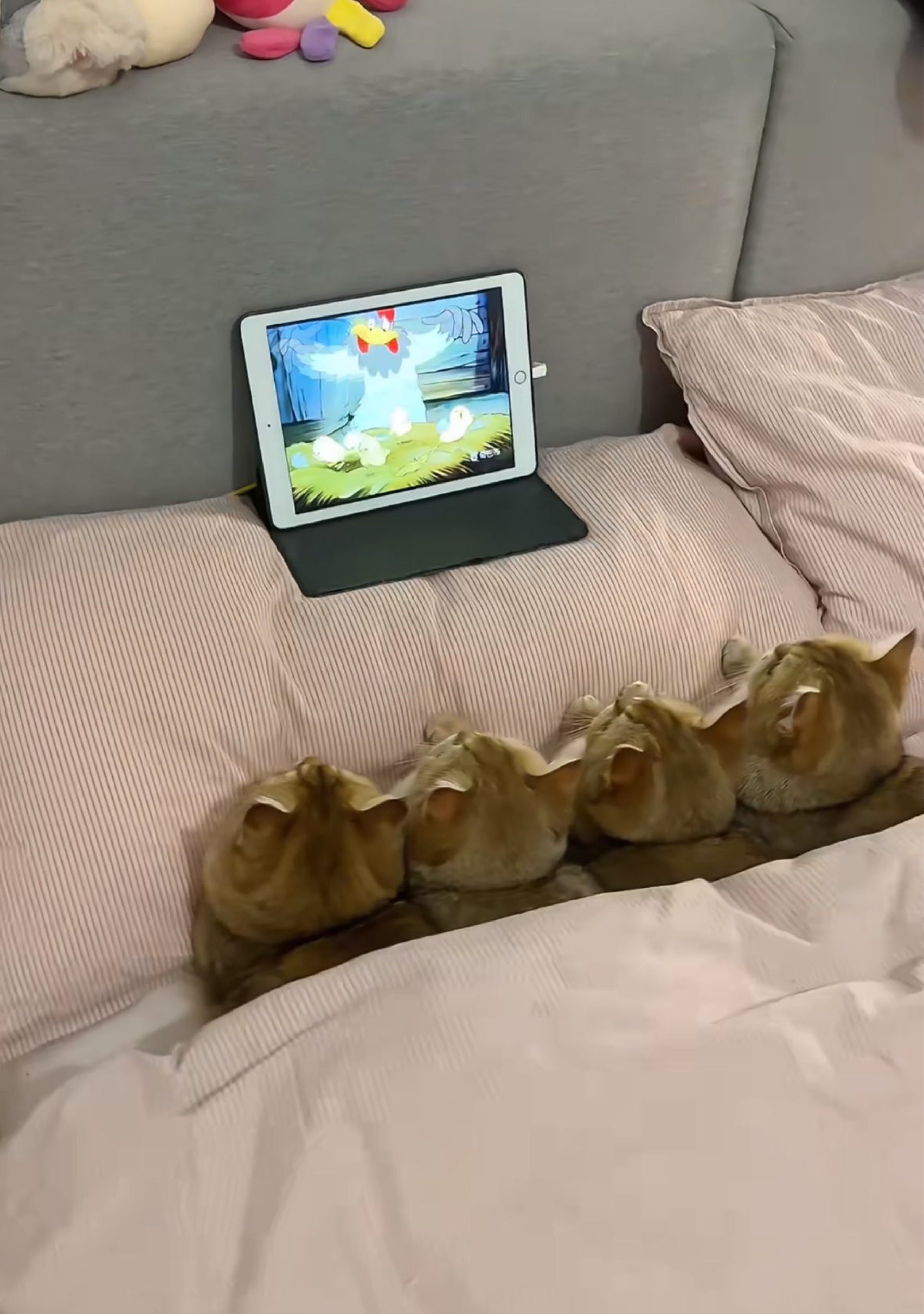 ミノ