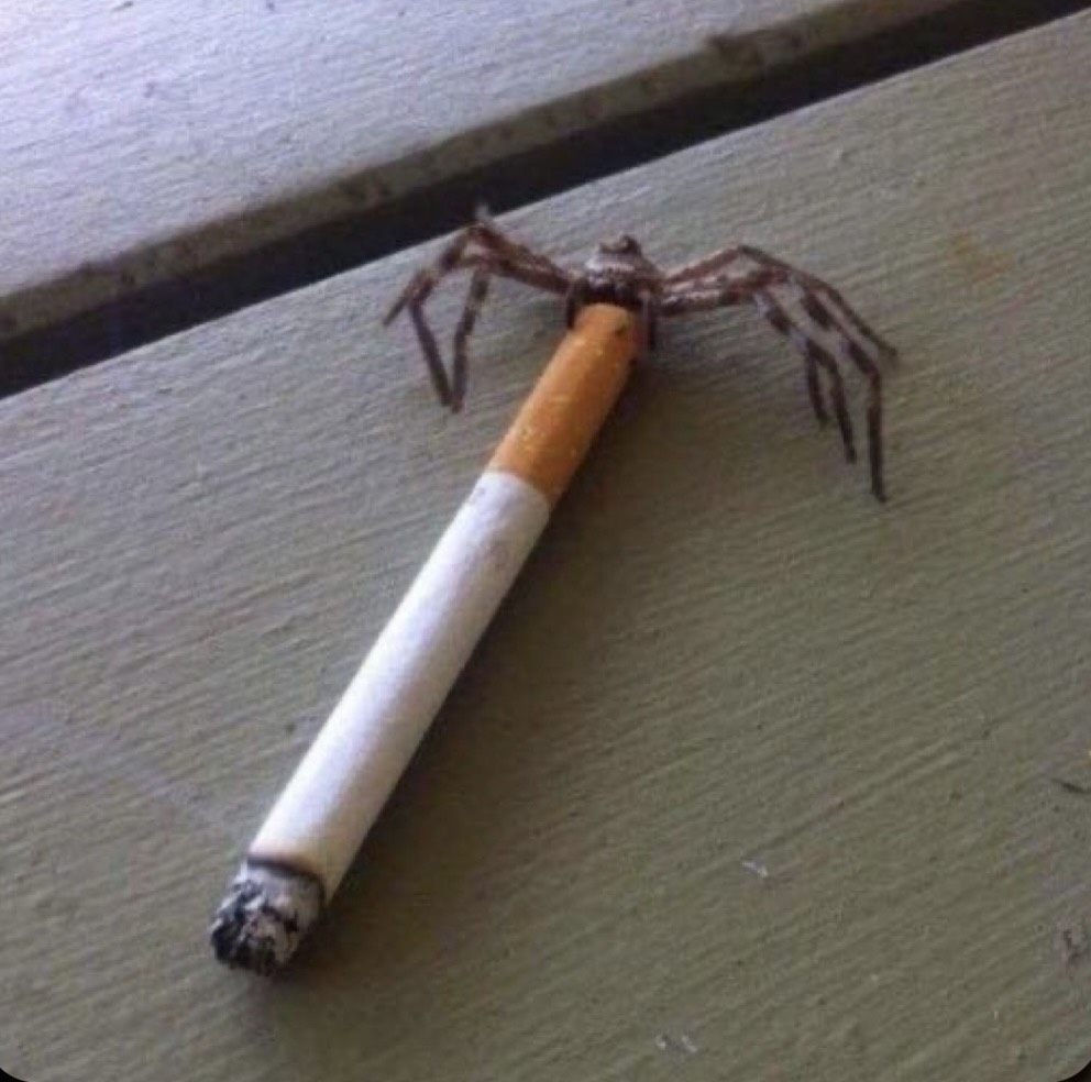 おず