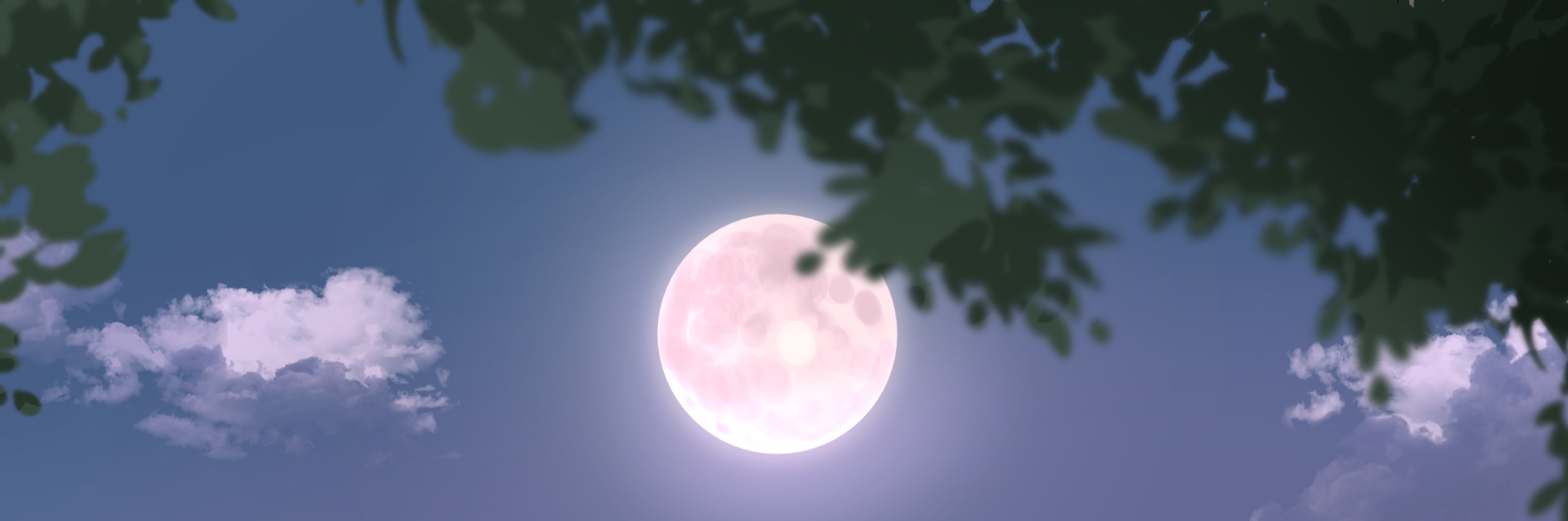 𝙎𝙀𝘼 -ｾｱ-