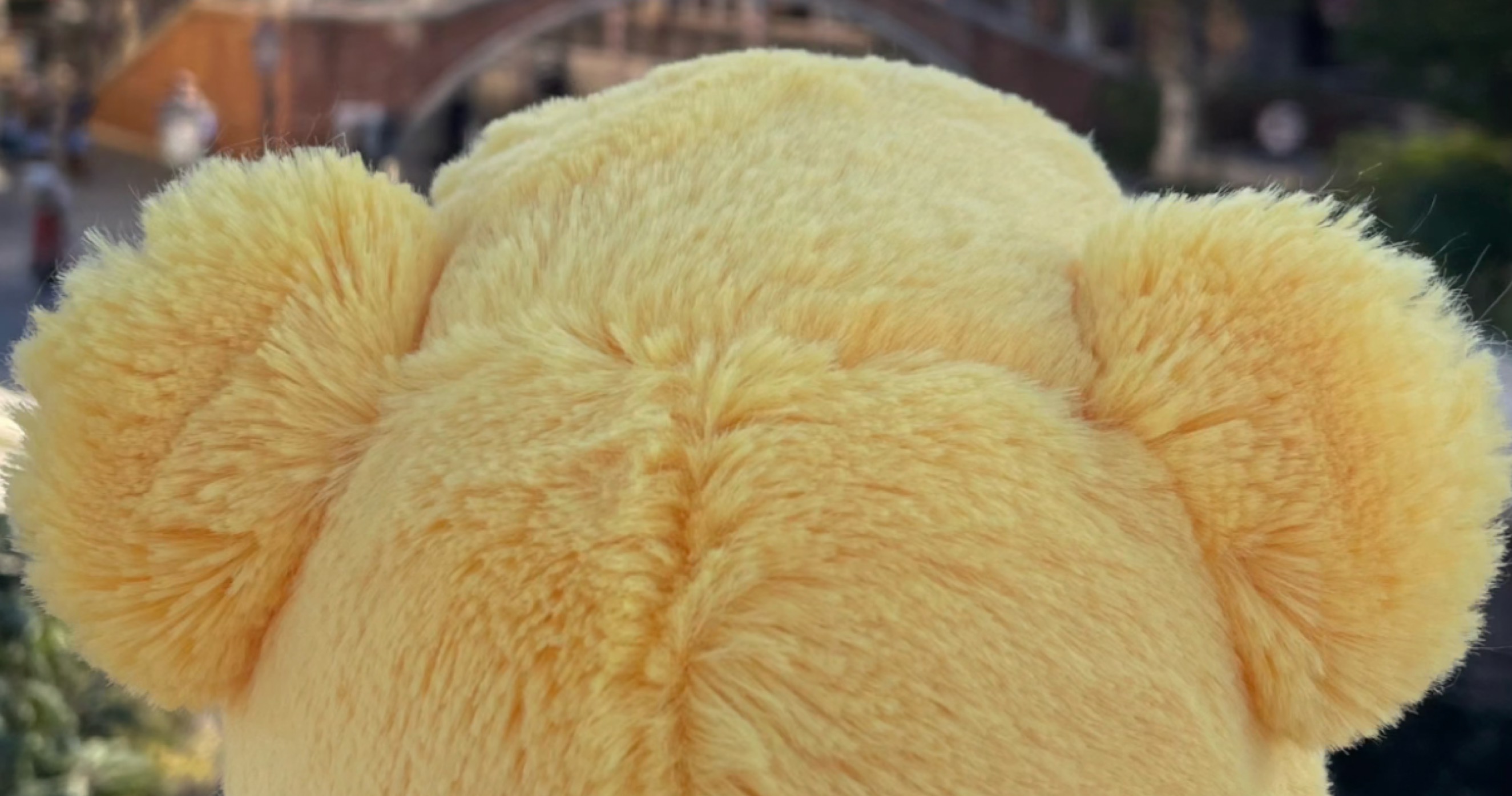 ‪🐈‍⬛🗝祈依🦈🌼🂡ꉂꉂ•ᴥ•🦐🍊