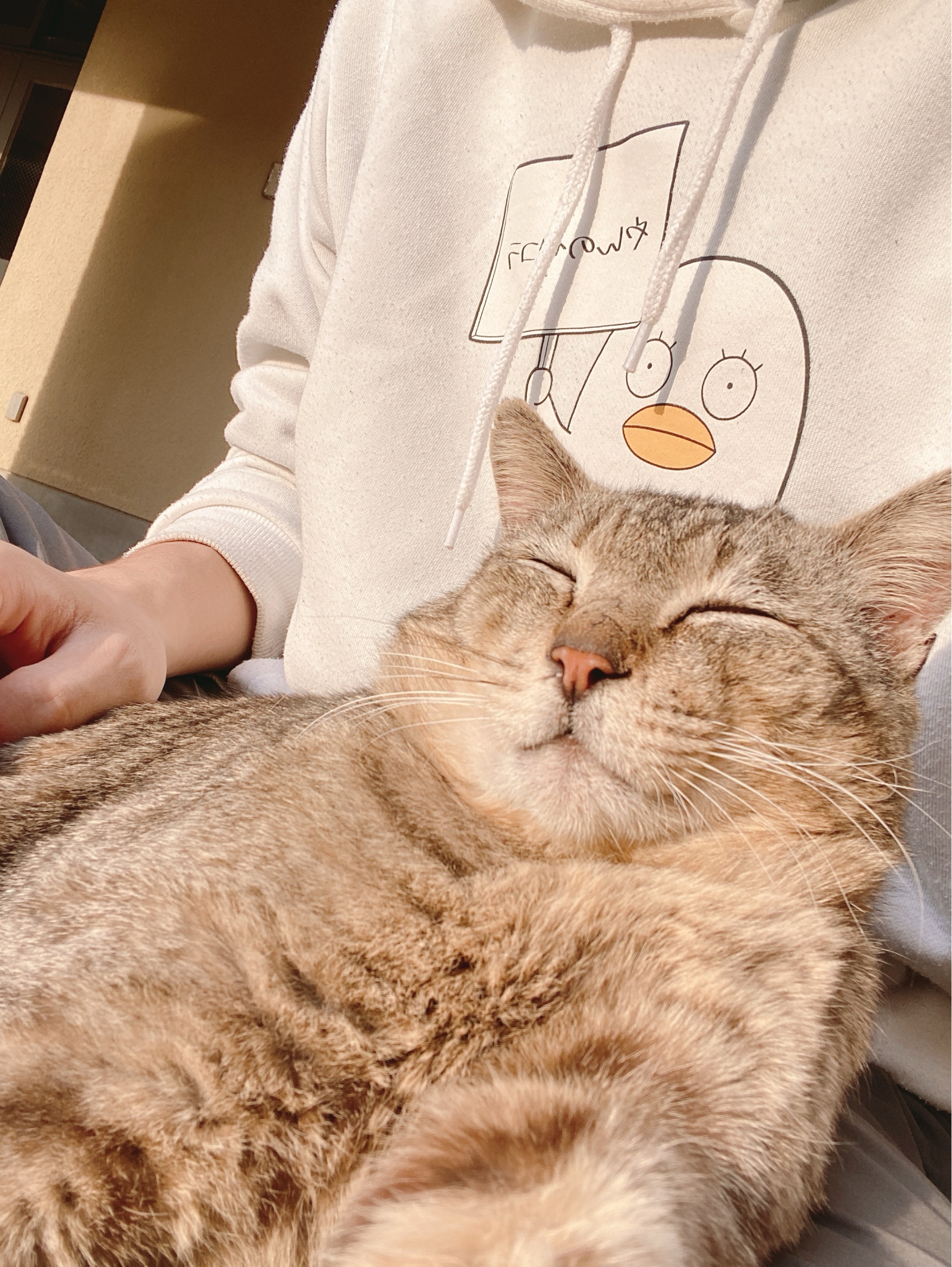 ☦︎︎まっちゃん🍵