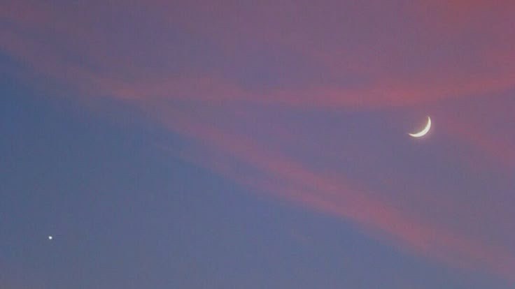 𝒶𝓁.*のんある