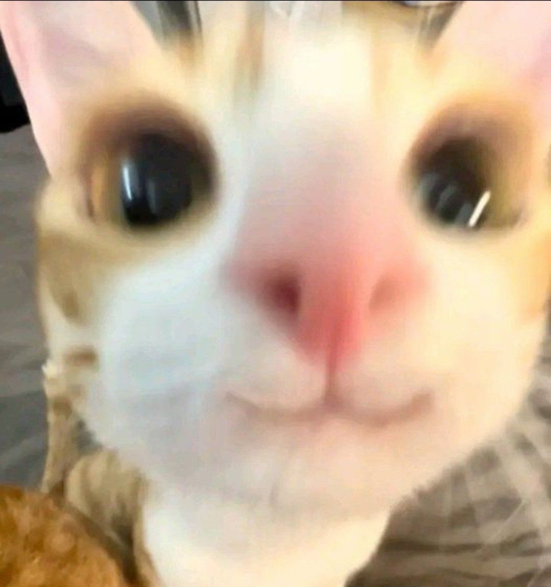 ‪✯4ik