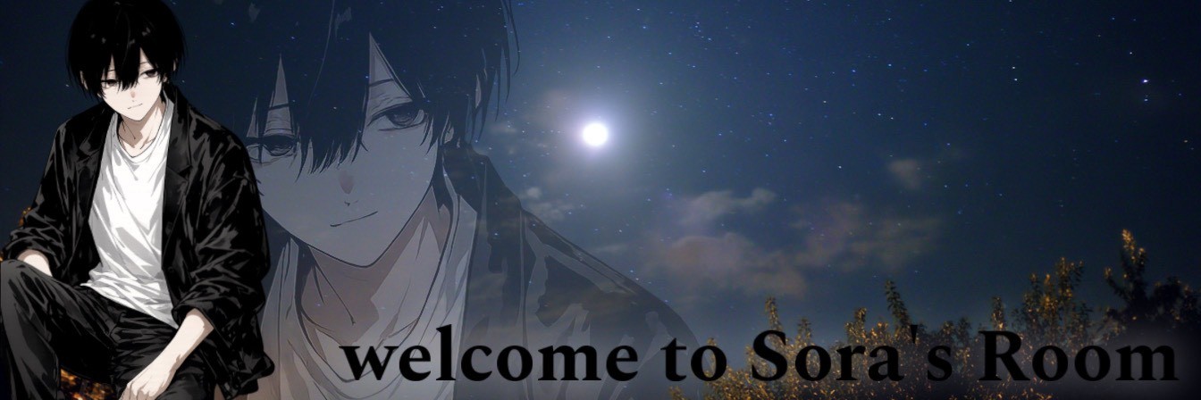 ˢ.*·̩͙そら-𝒔𝒐𝒓𝒂-