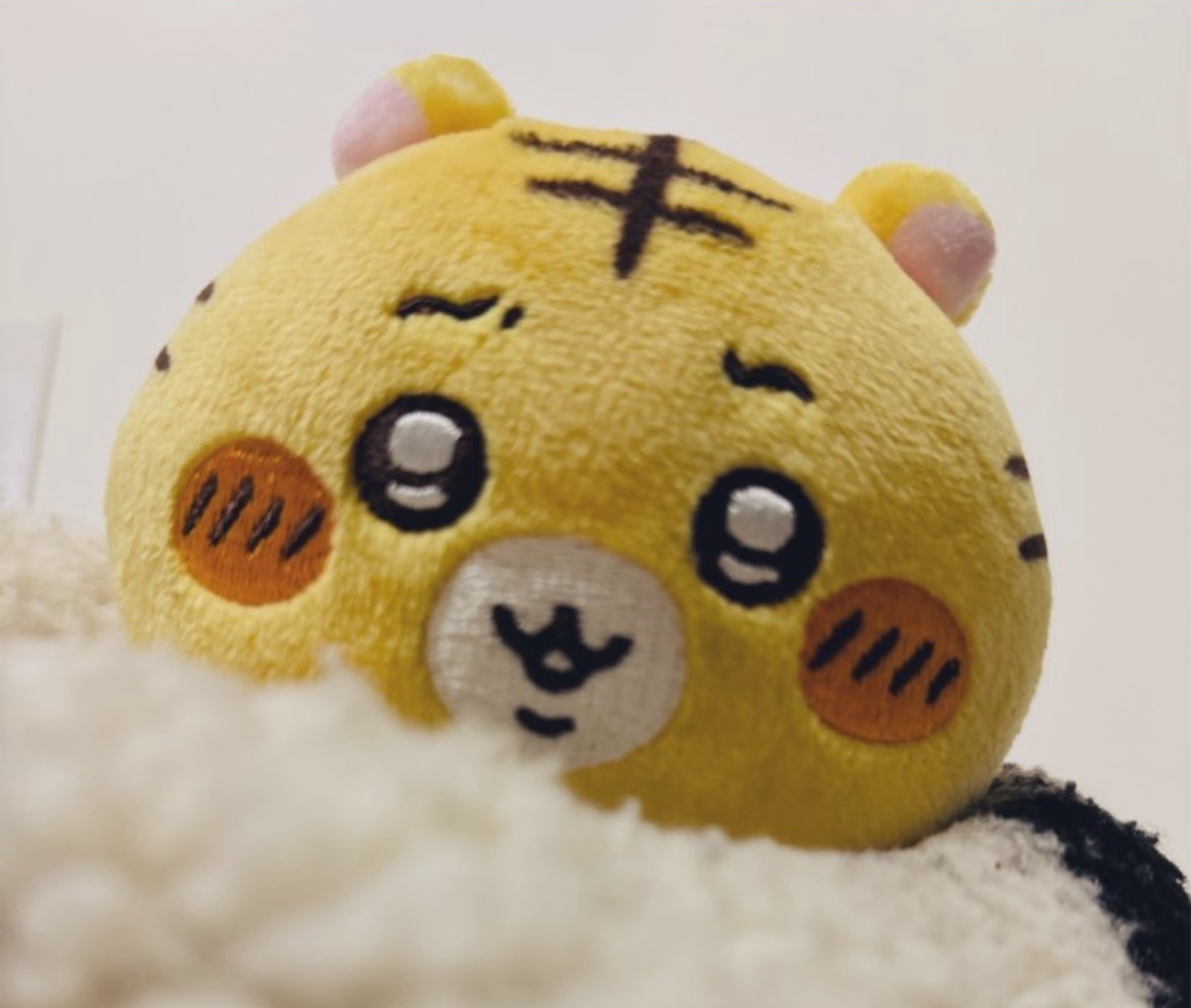 にこ🐯🍡
