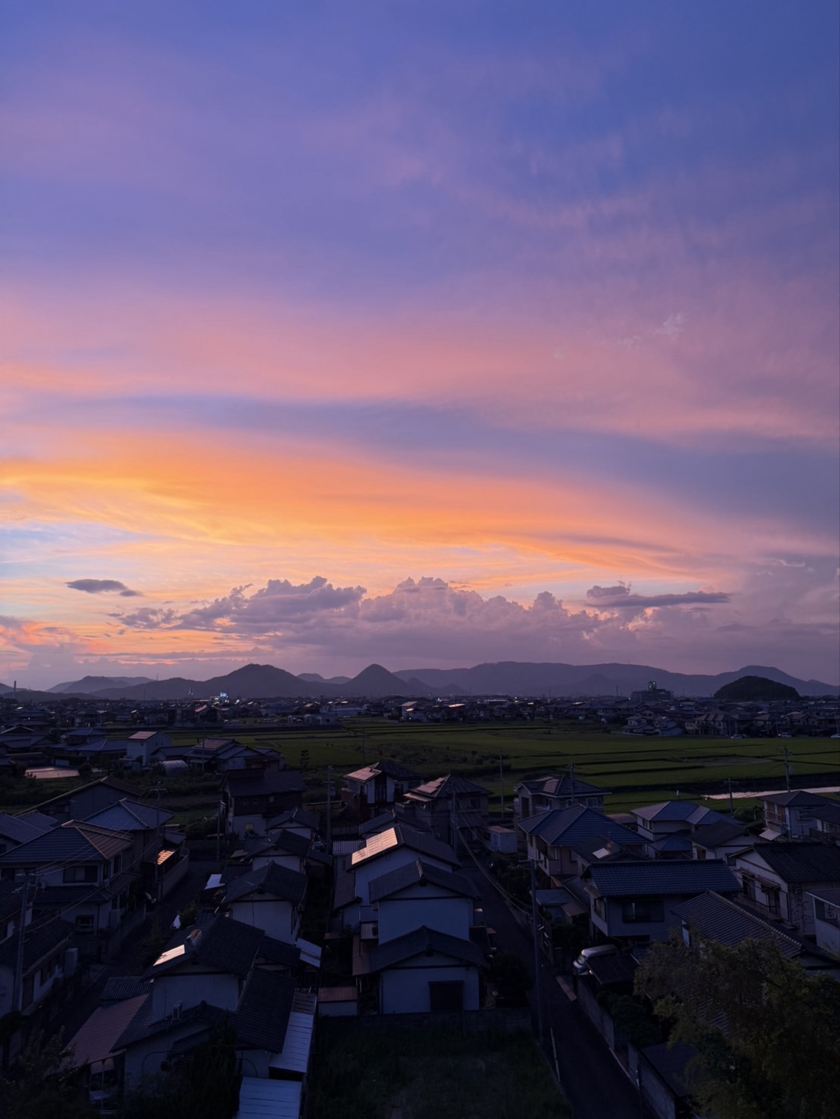 珍獣悠稀⋆ 🧸🥥🐧𓈒𓂂𝓨✰︎