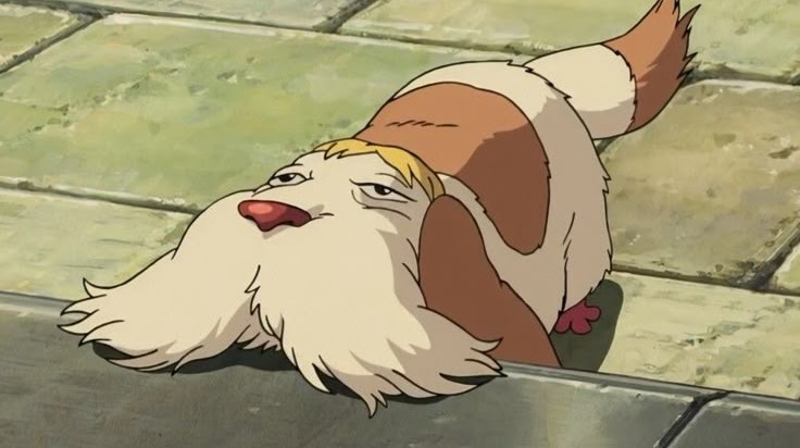 ⋆̩☂︎*̣̩あめ