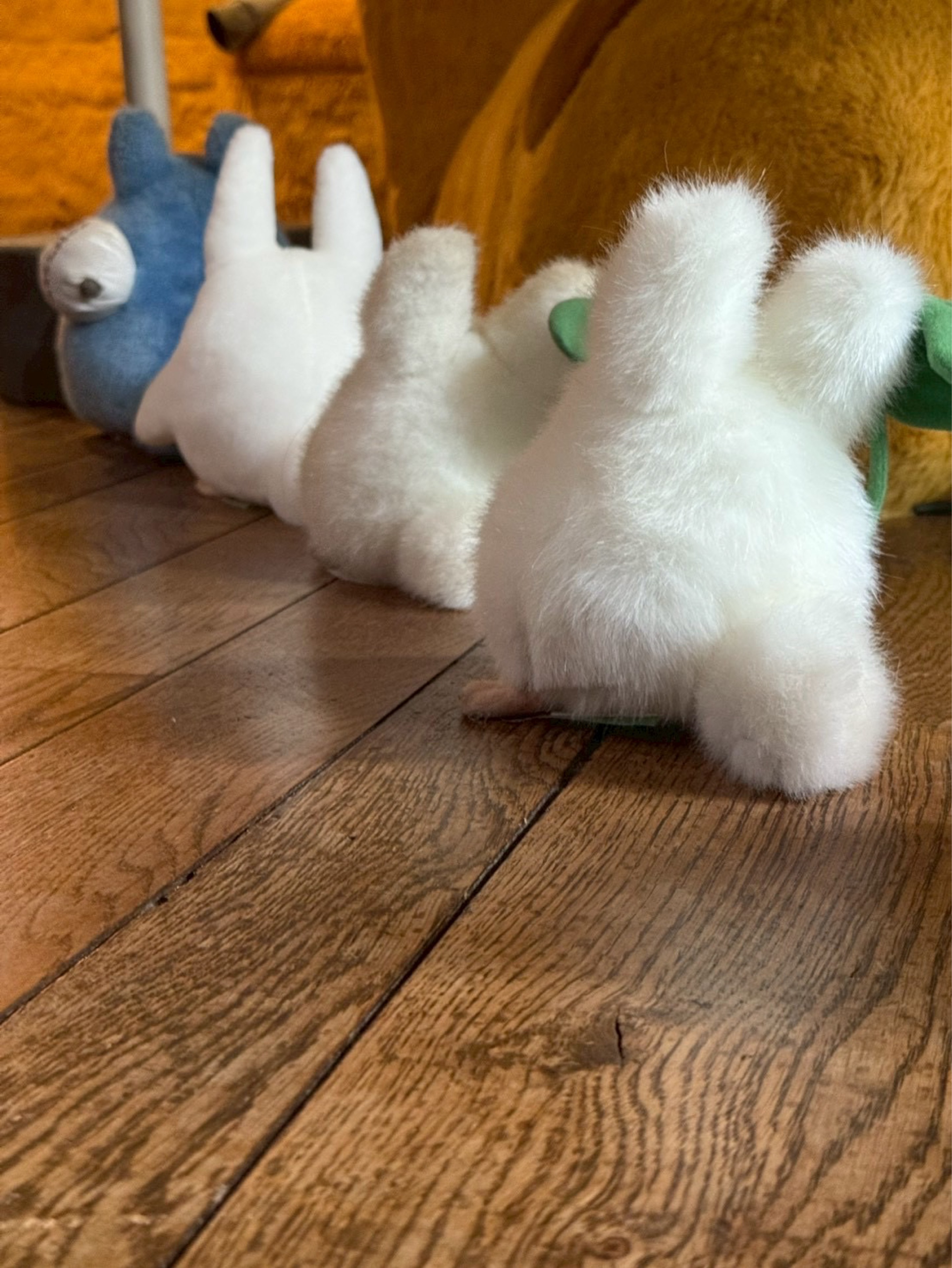 のせ