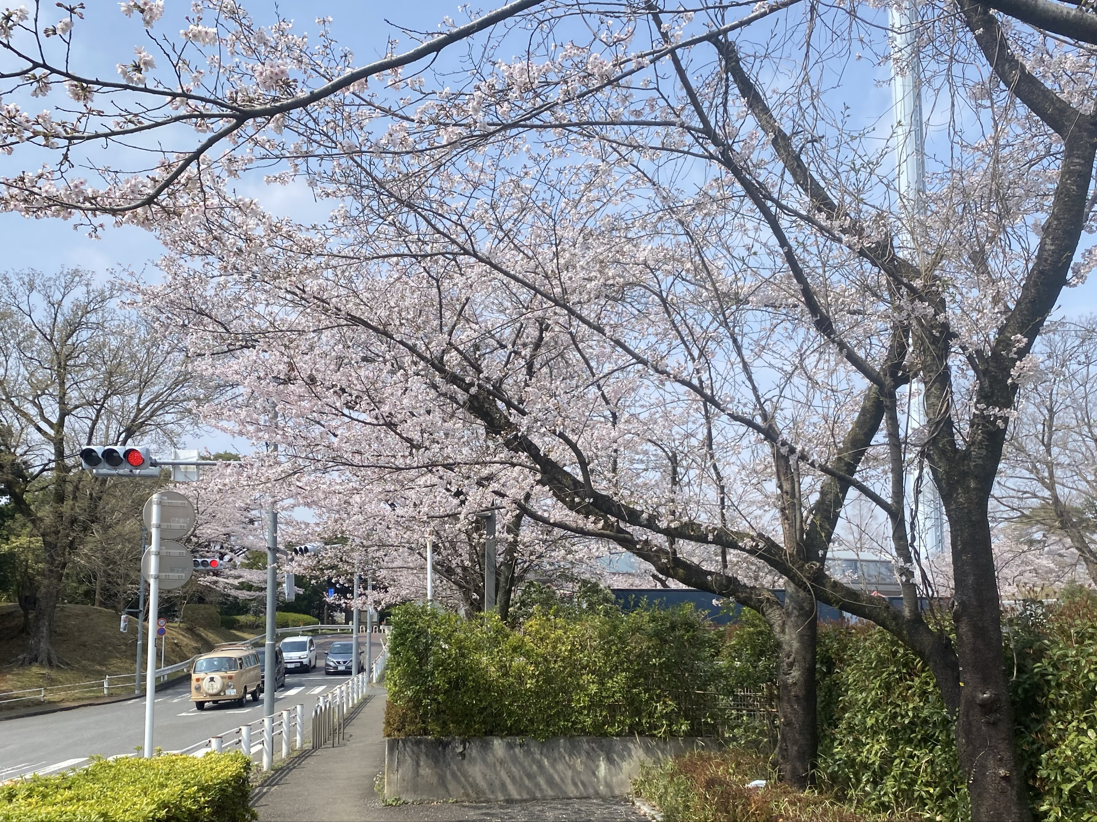 𝄞.*𝚖𝚒𝚗𝚘