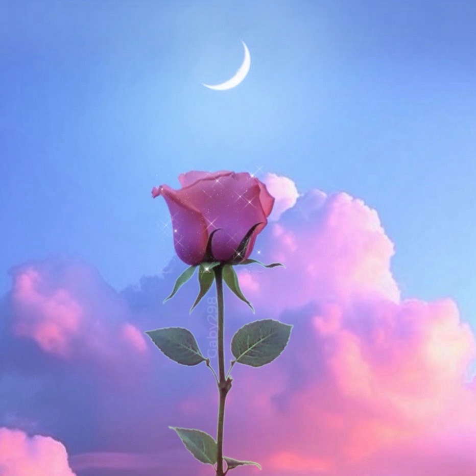 ʚ๓ᵍ٭𓈒もぐ