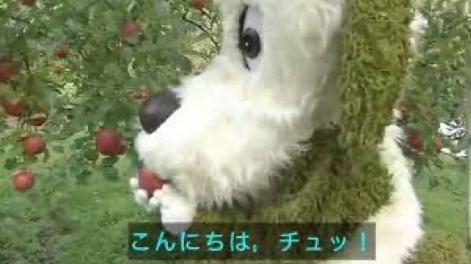 B型マイペース女