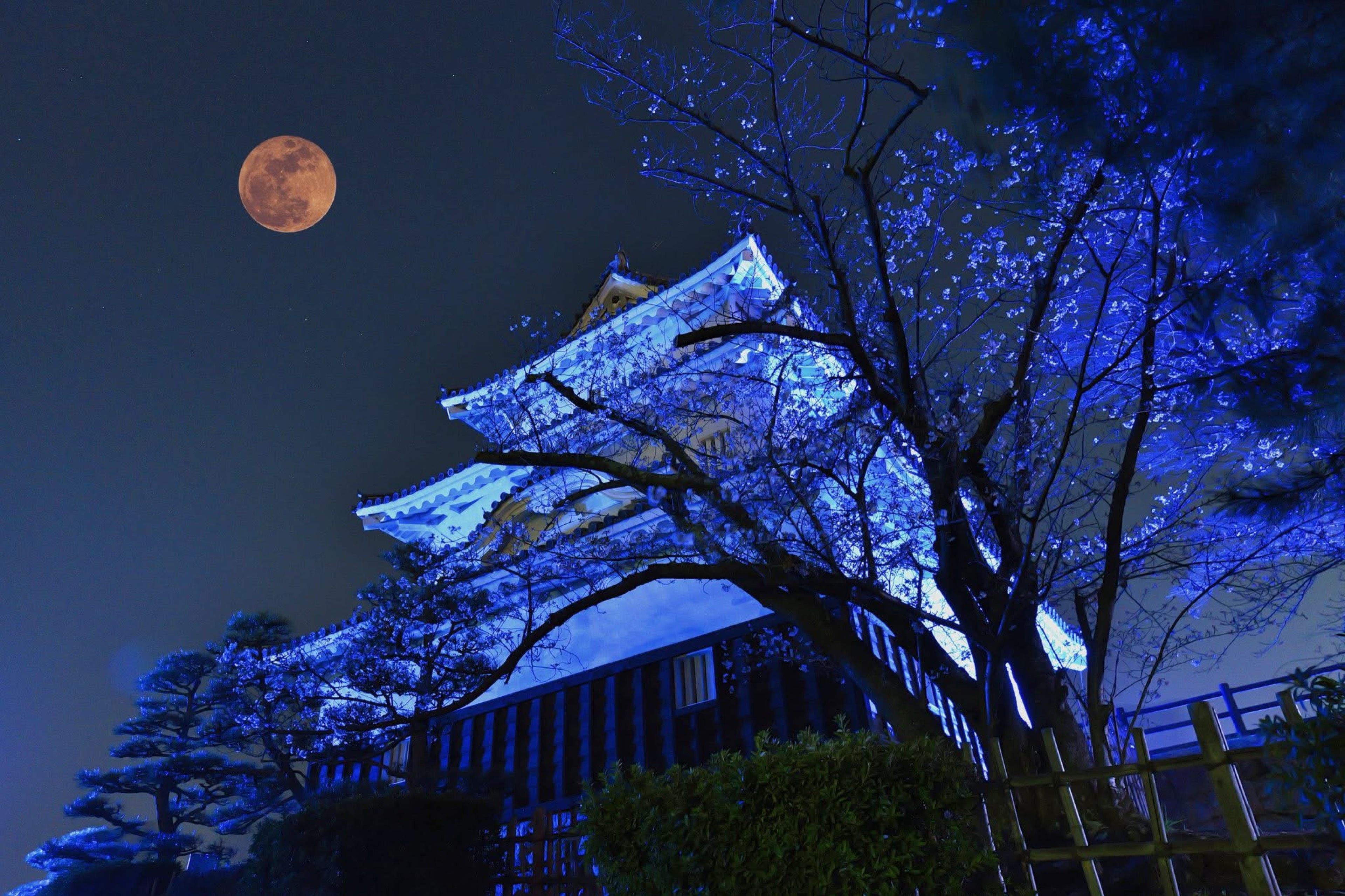 オソラ🎶✨️☕️