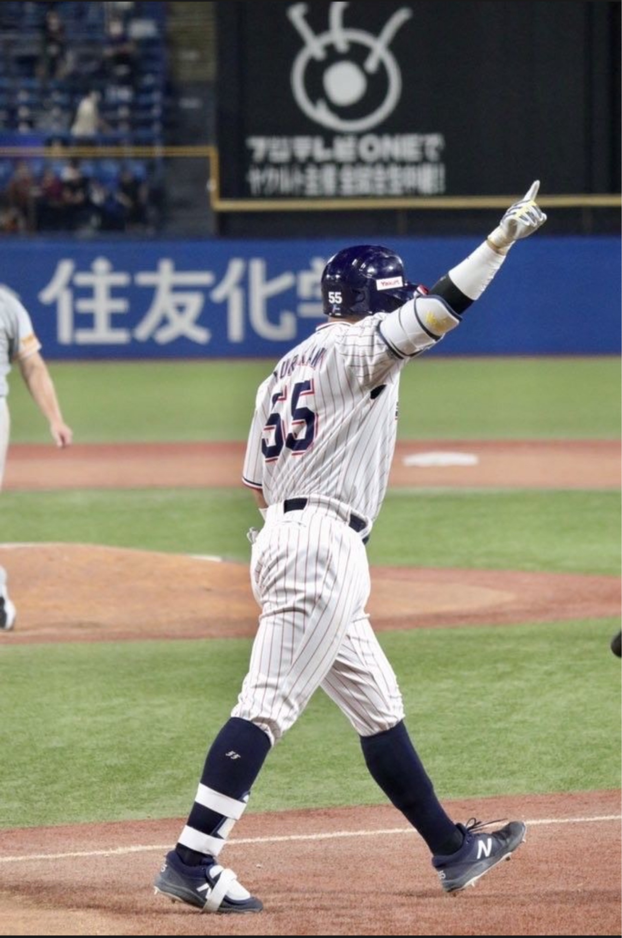 ヨルホタ(ホタル)