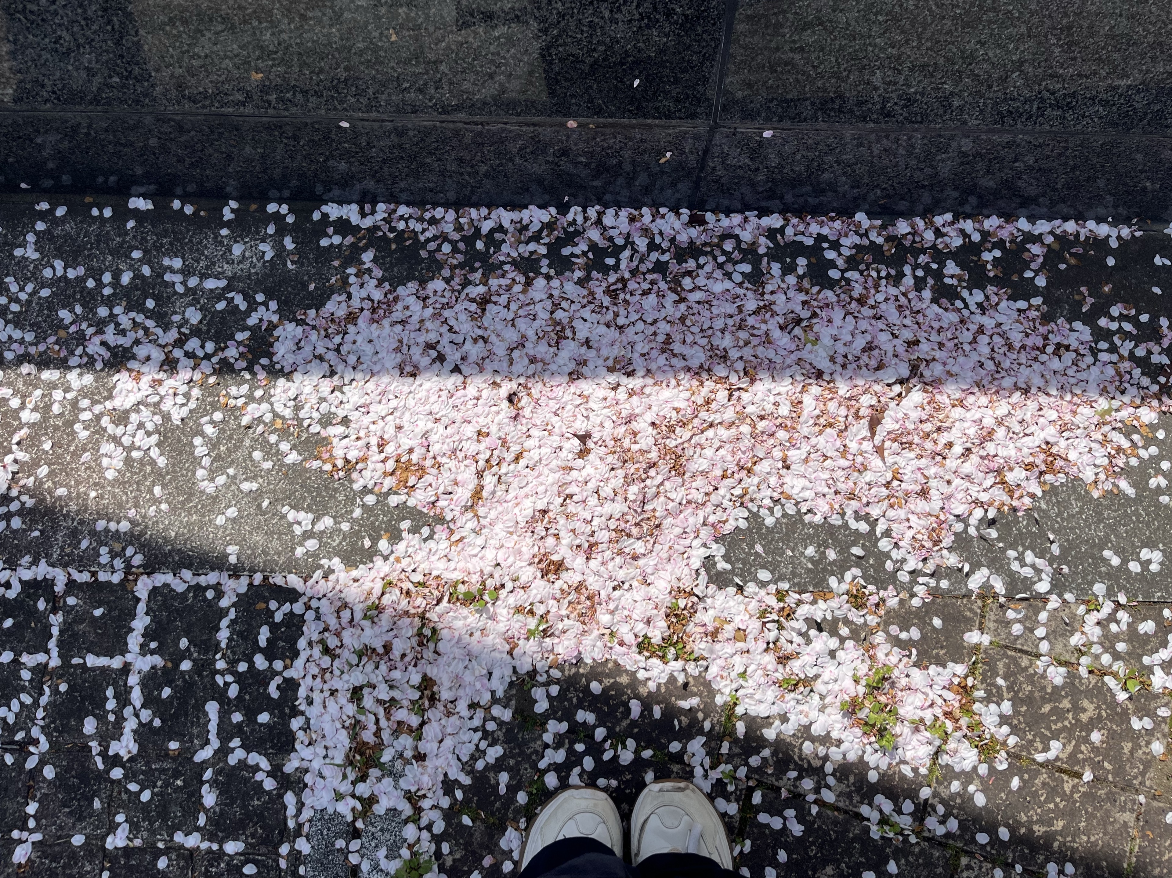 あり