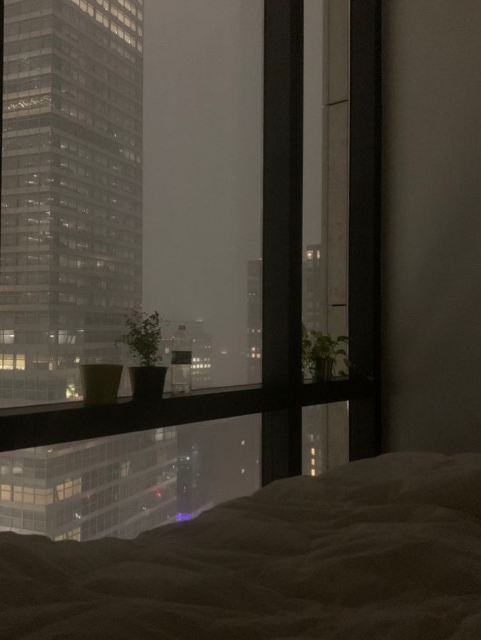 𝑌𝑎𝑚𝑎𝑡𝑜．