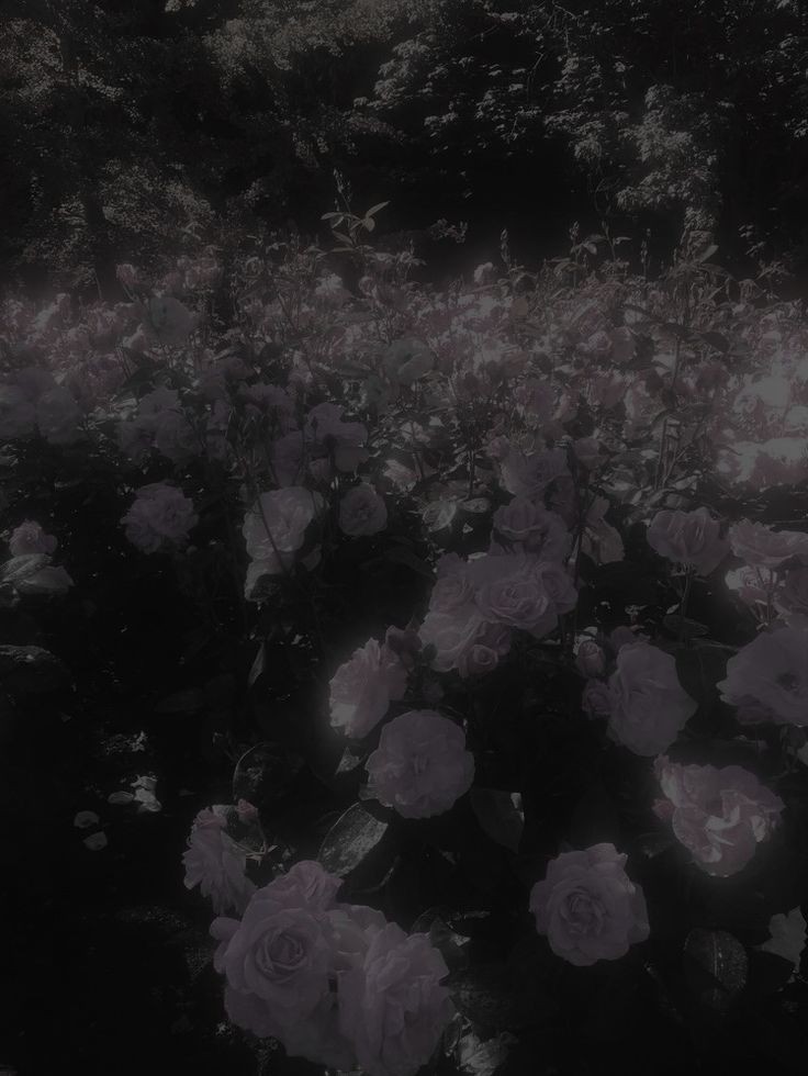 文