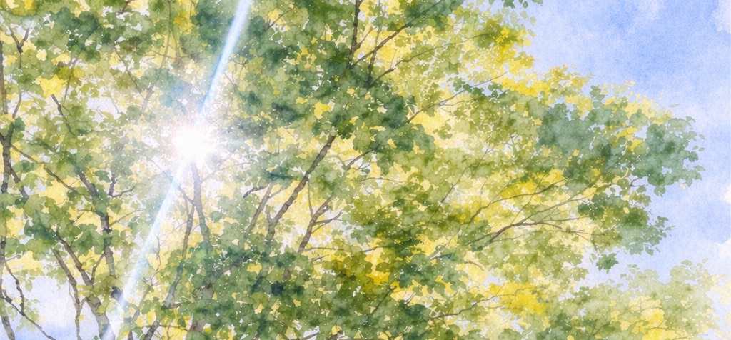 こっこ𖠚໊𖠚