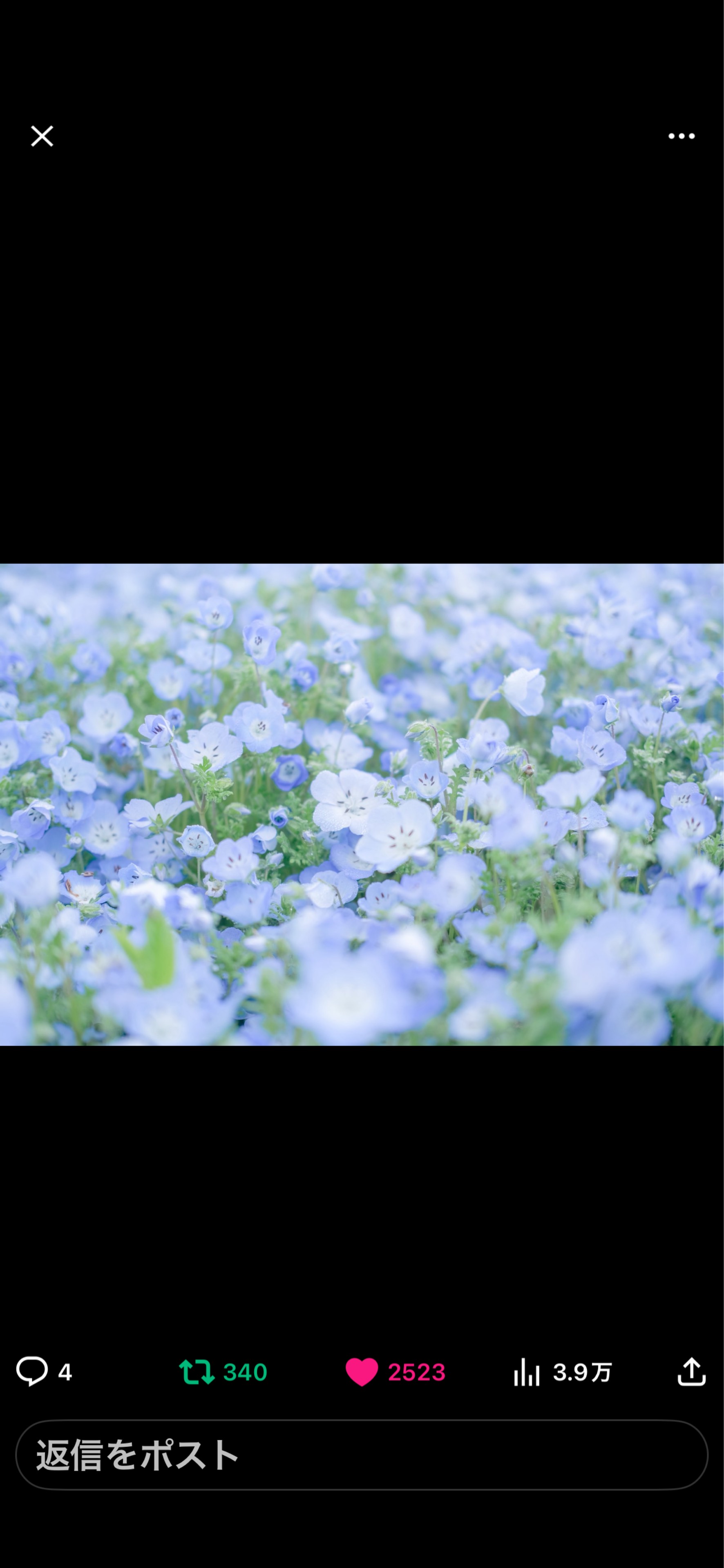 .°ஐにのᒼᑋªⁿ✿