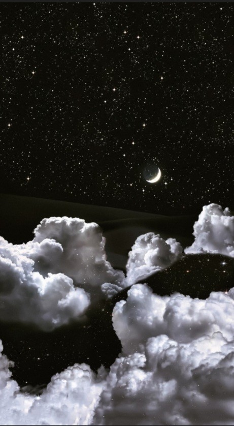 なぎさ  ゆい🦭