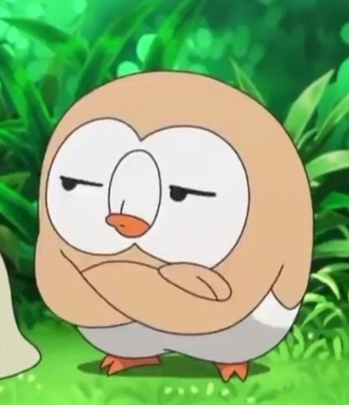 ほた💙💙💙