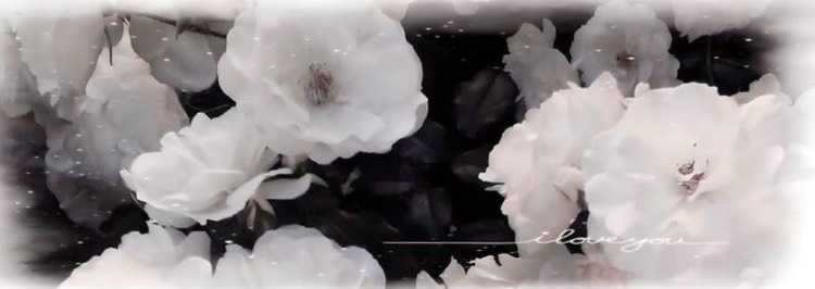 桜 庭