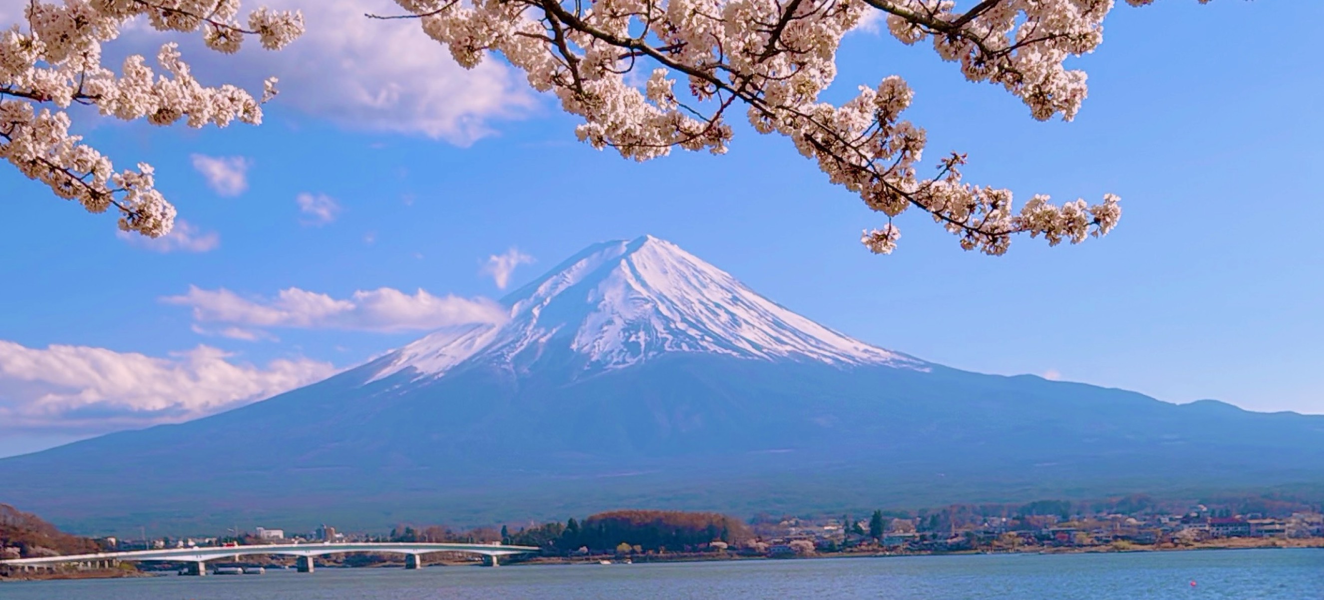 ᒼᑋ𖠚茶々𓈒𓏸︎︎︎︎