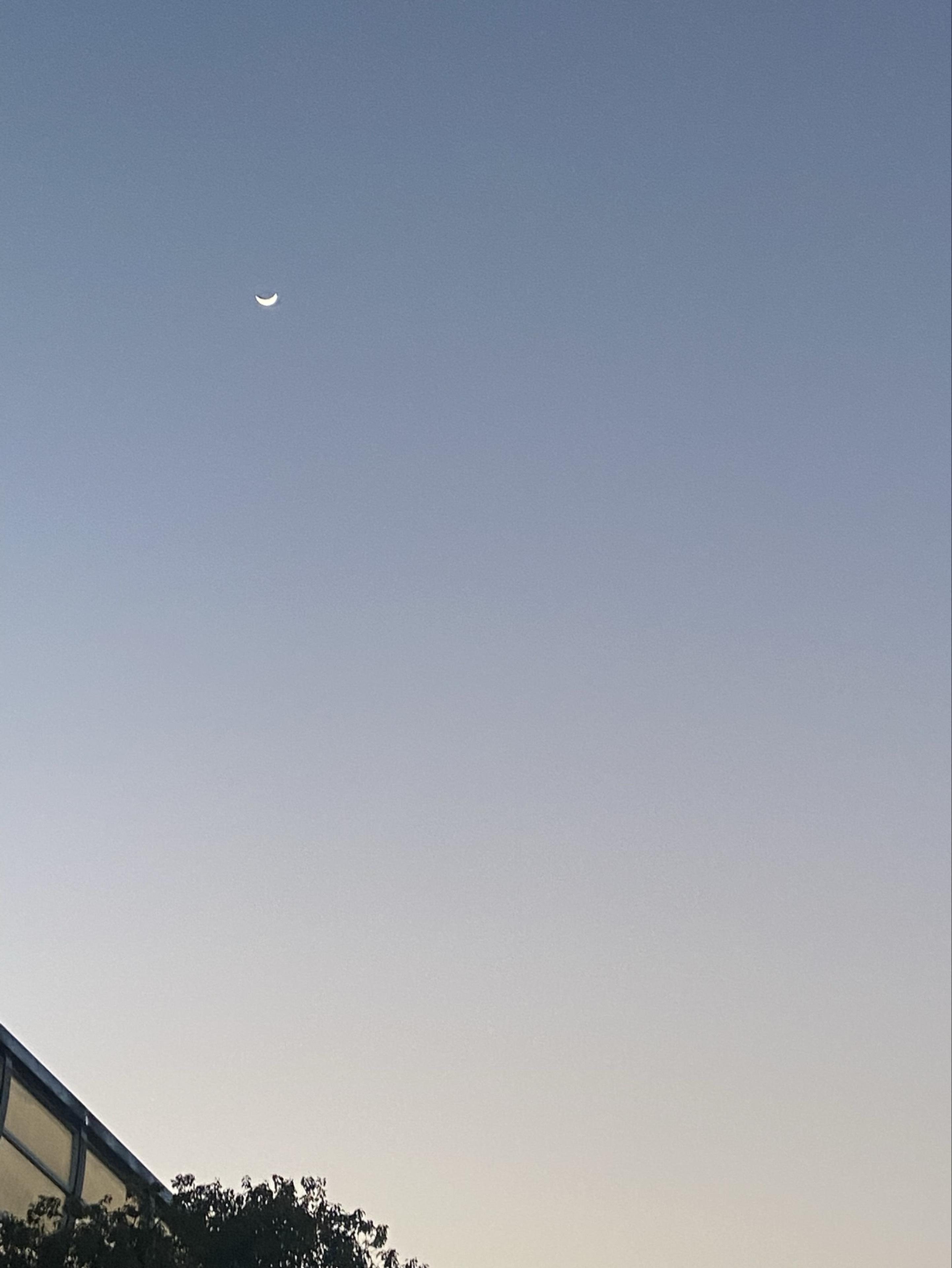 夜音-yoru-🎧🤍