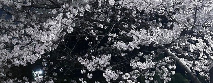 ぬ