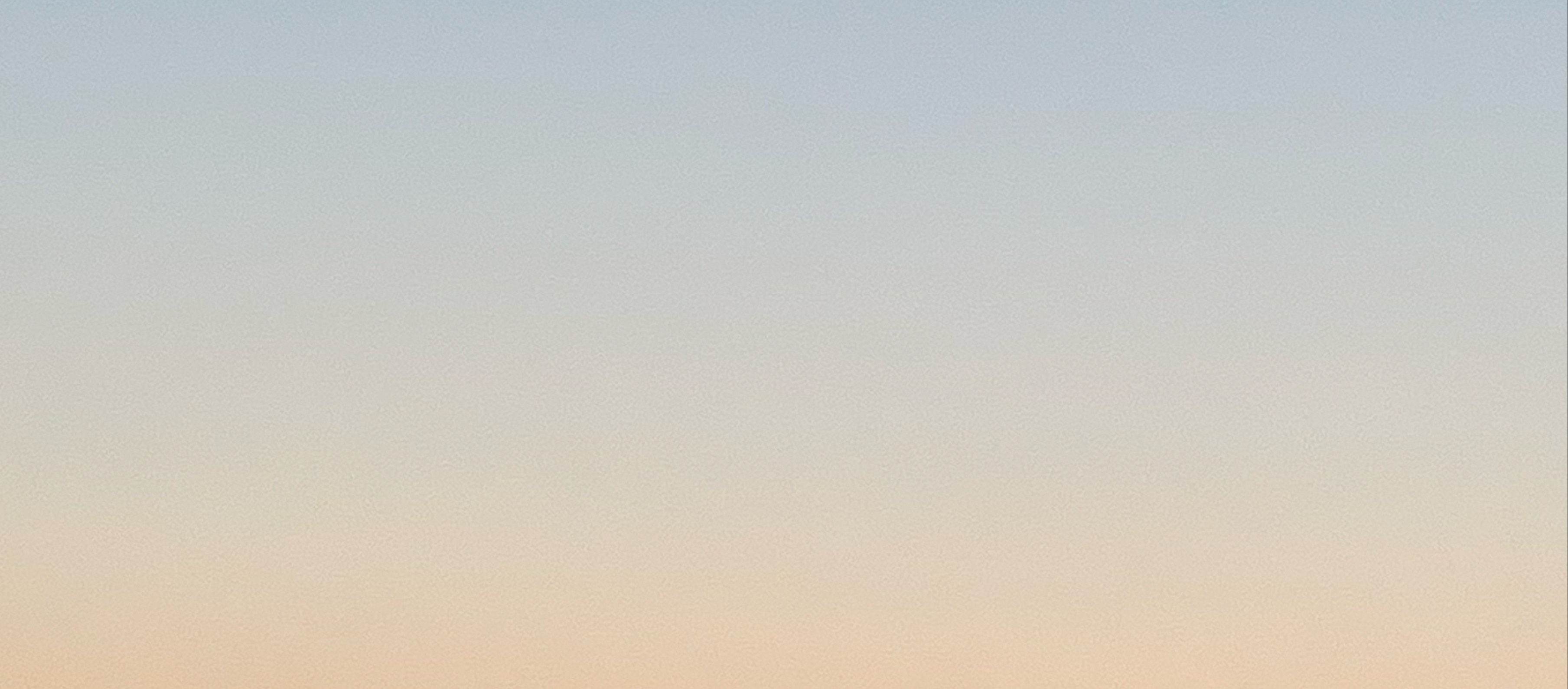 ねる
