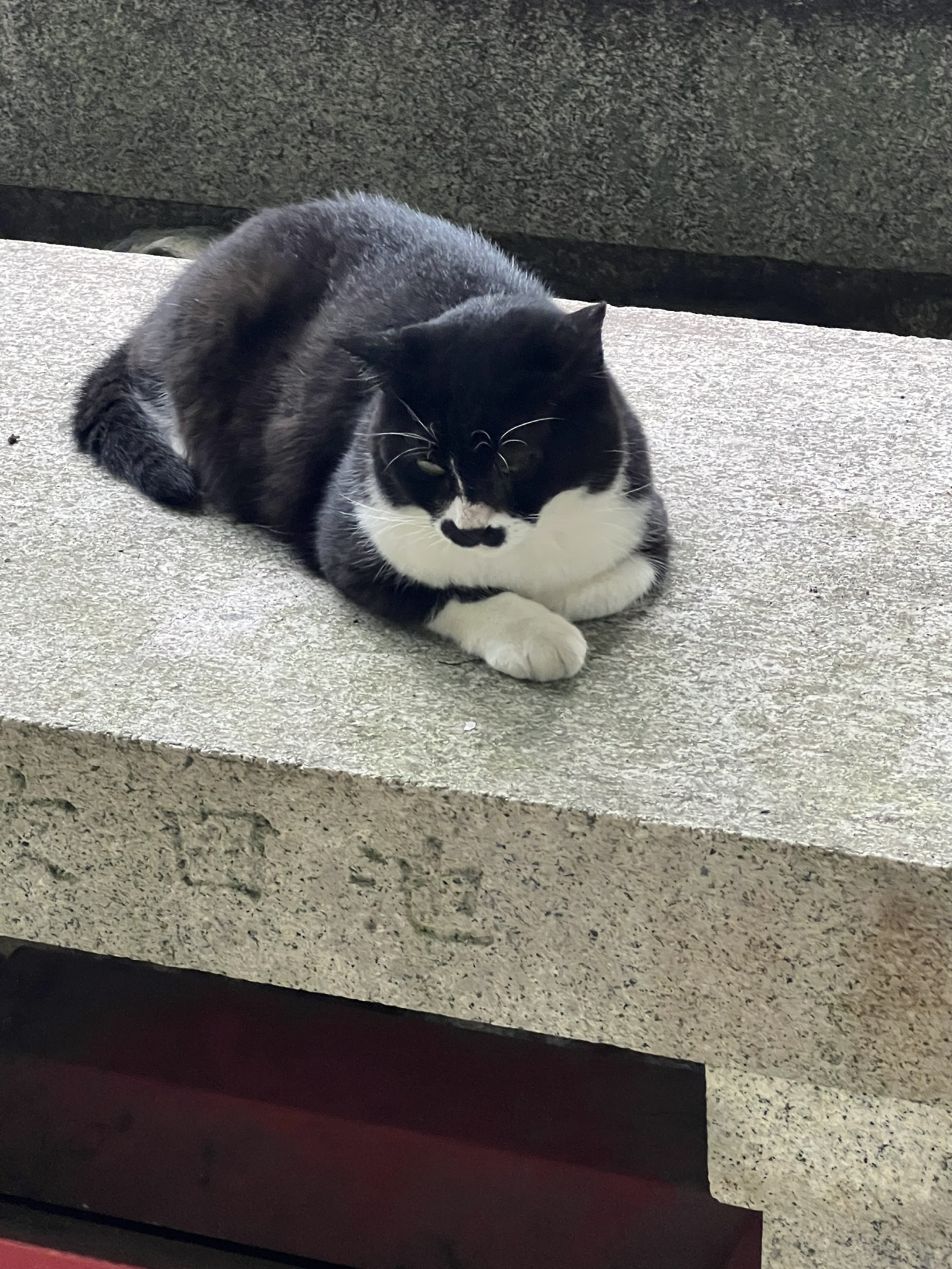 ほっしー★