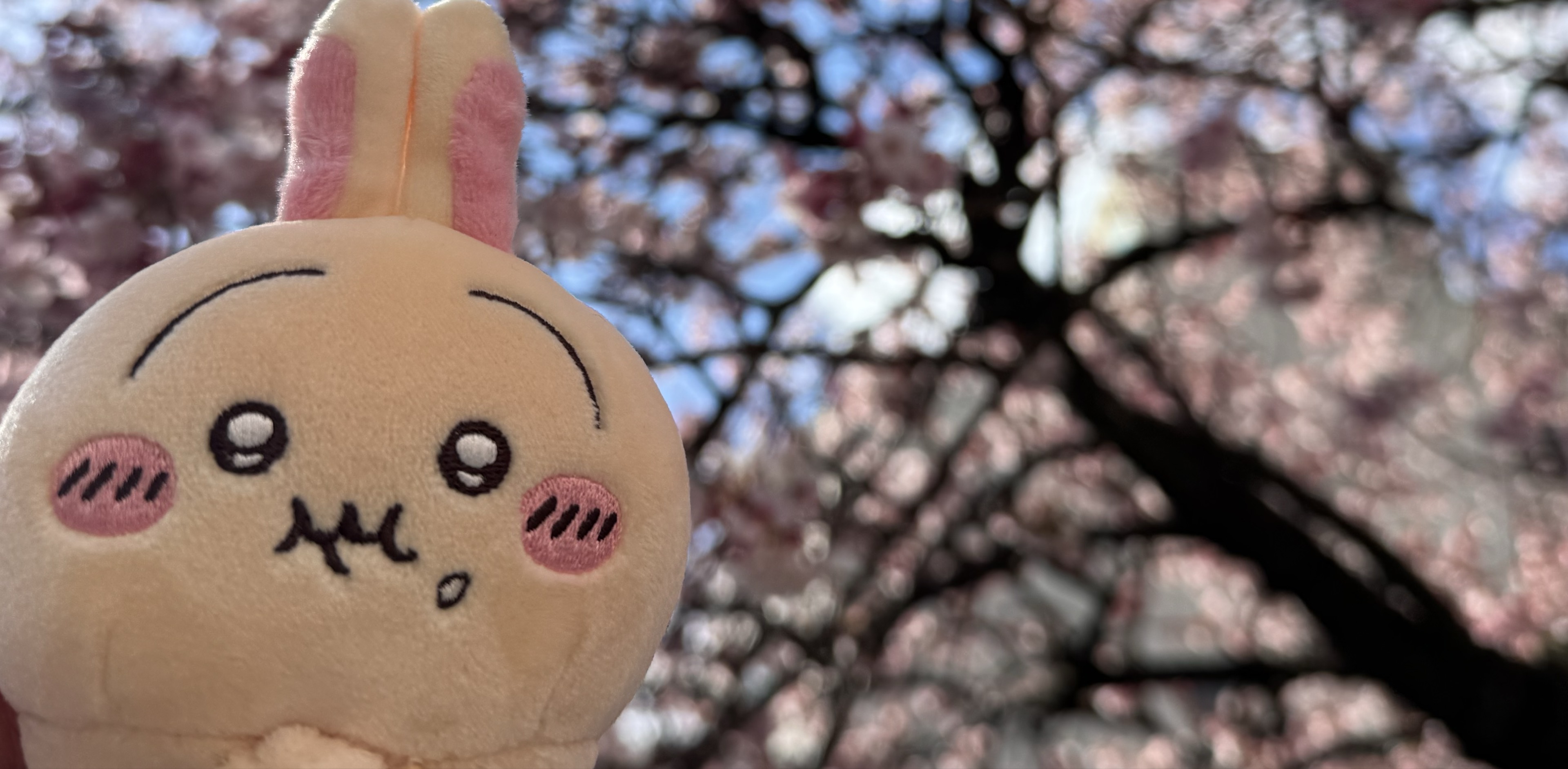 りんご