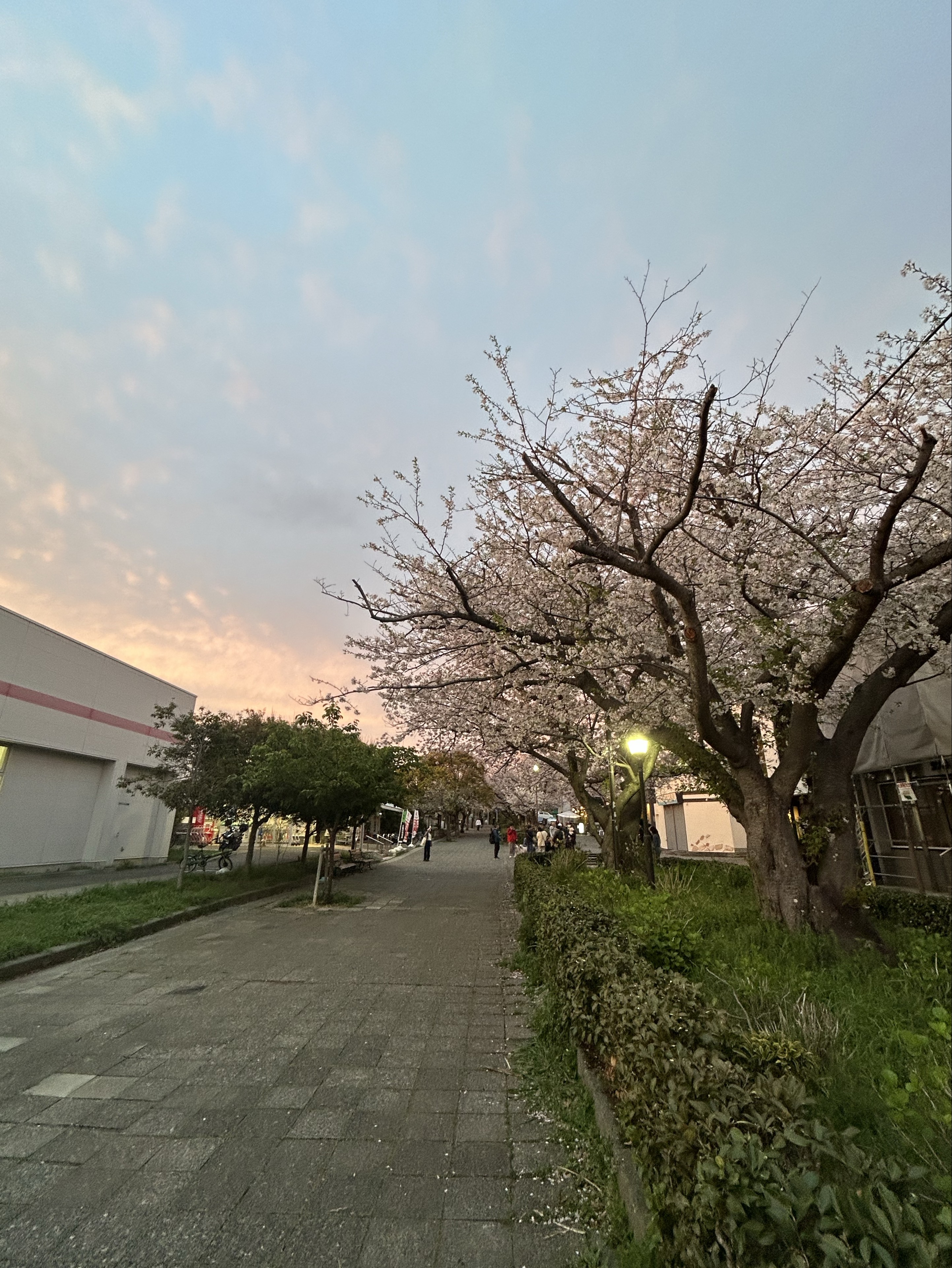 ゆあ