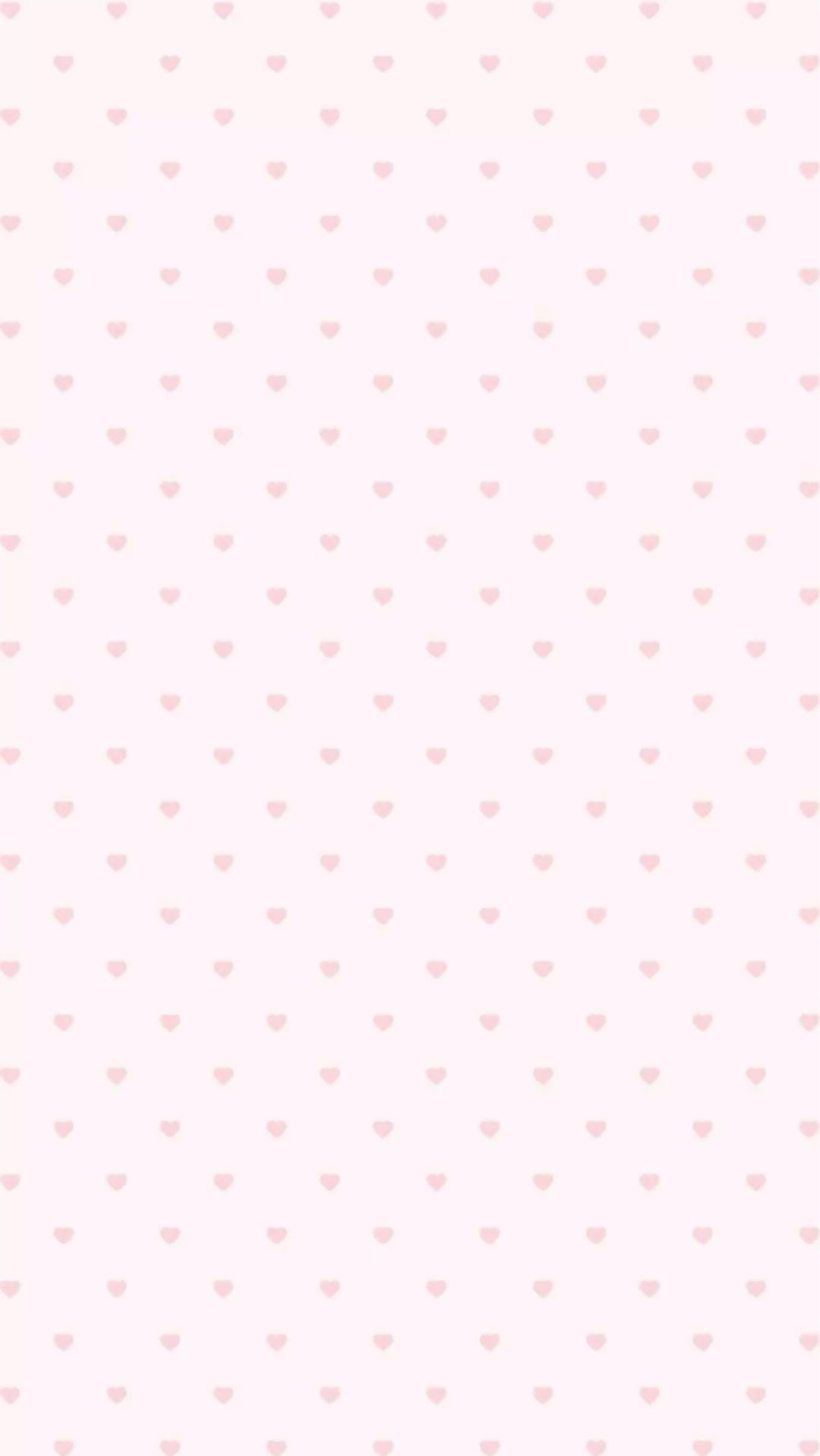 夏樹