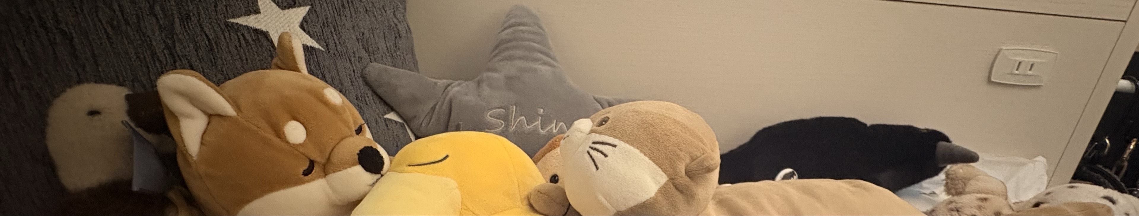るい。