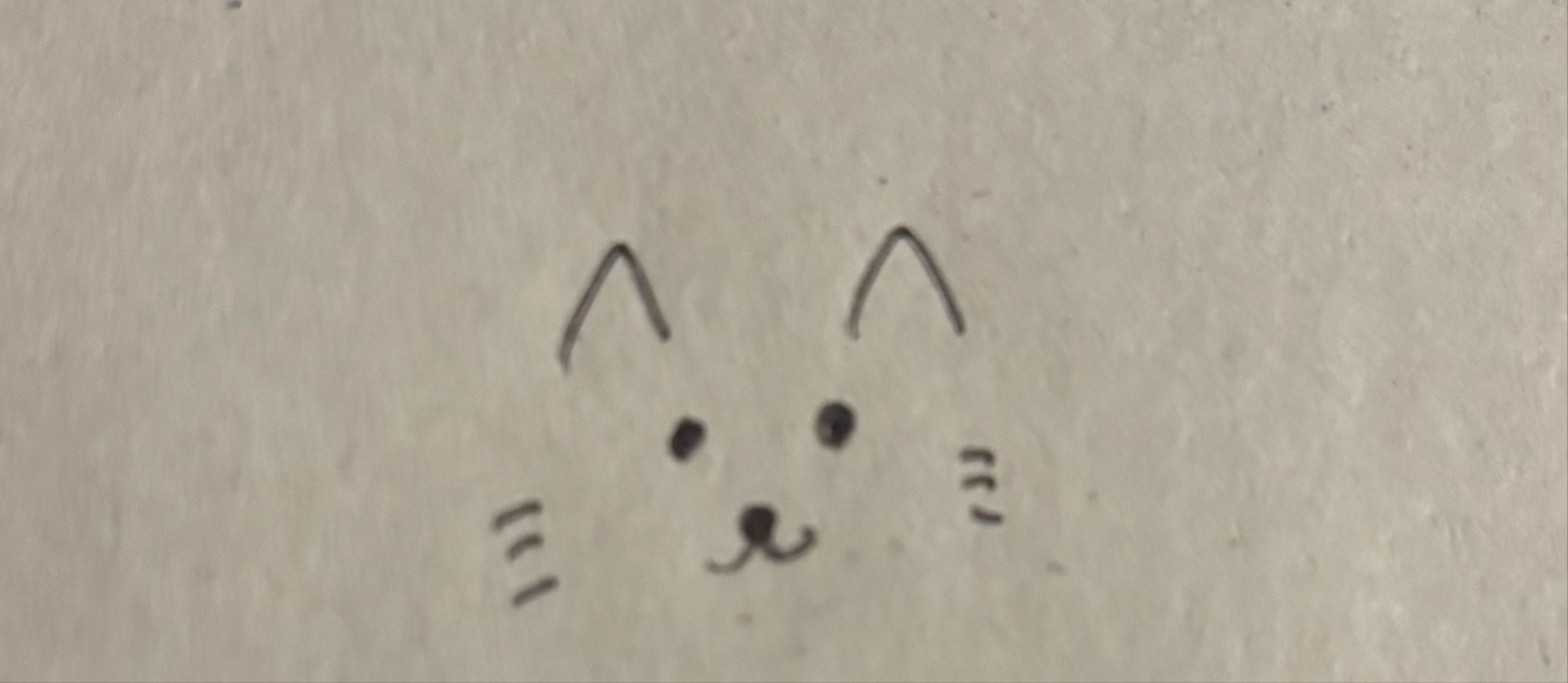 猫の足踏みོ 🏴