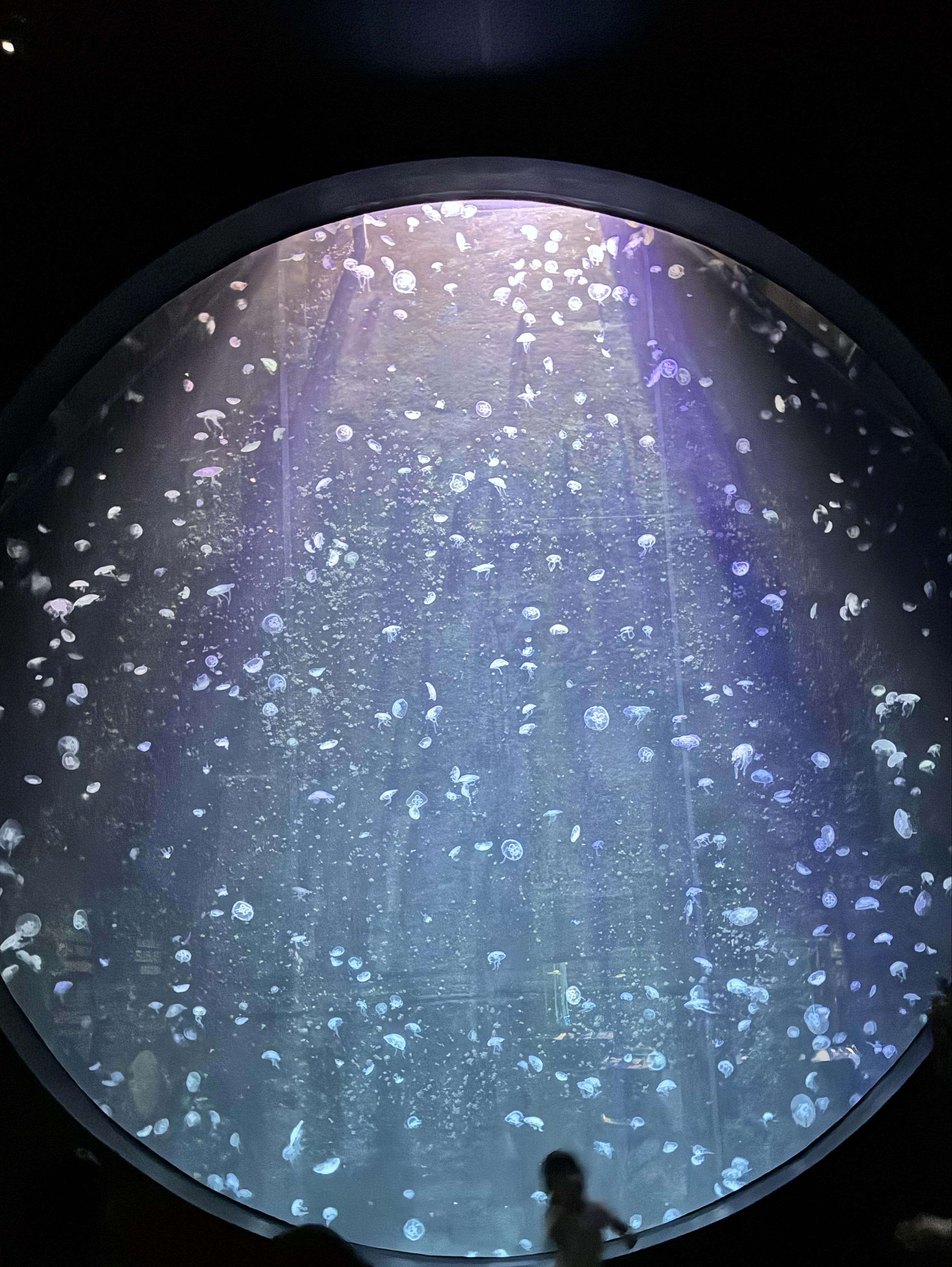 ゲンドラ