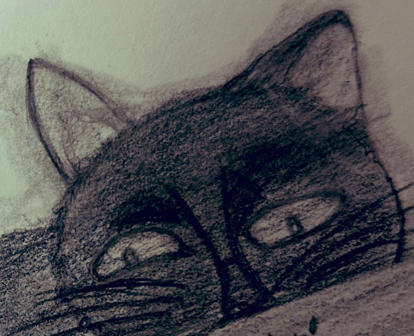 司