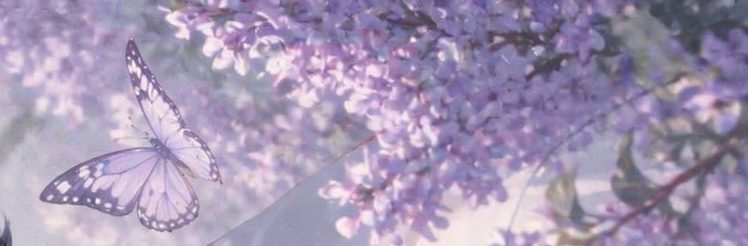 Dadaʾʾ🌹𓂍