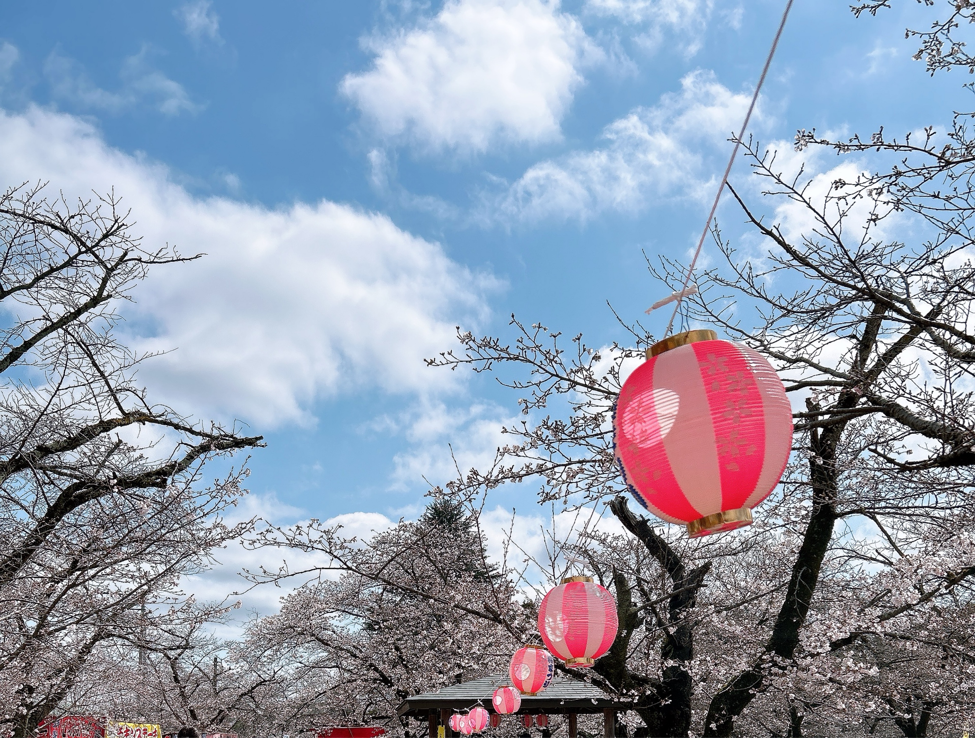みーとくん(みー)