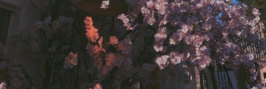 ꙳