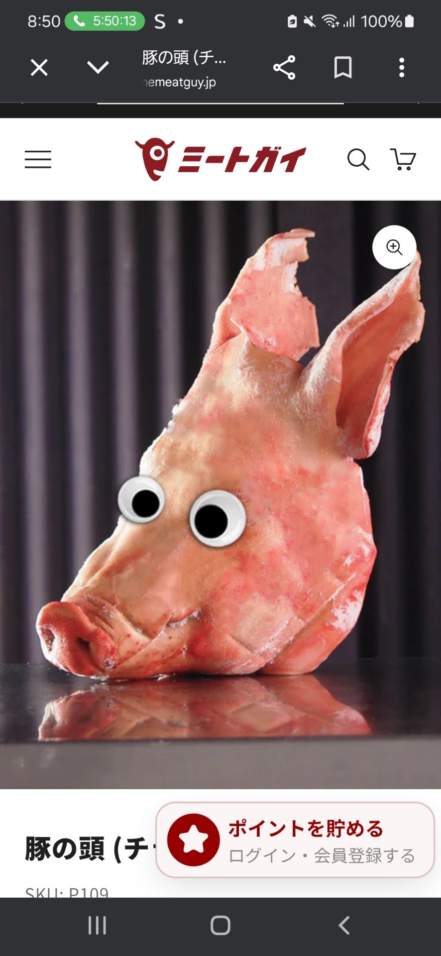 あんころもちこ