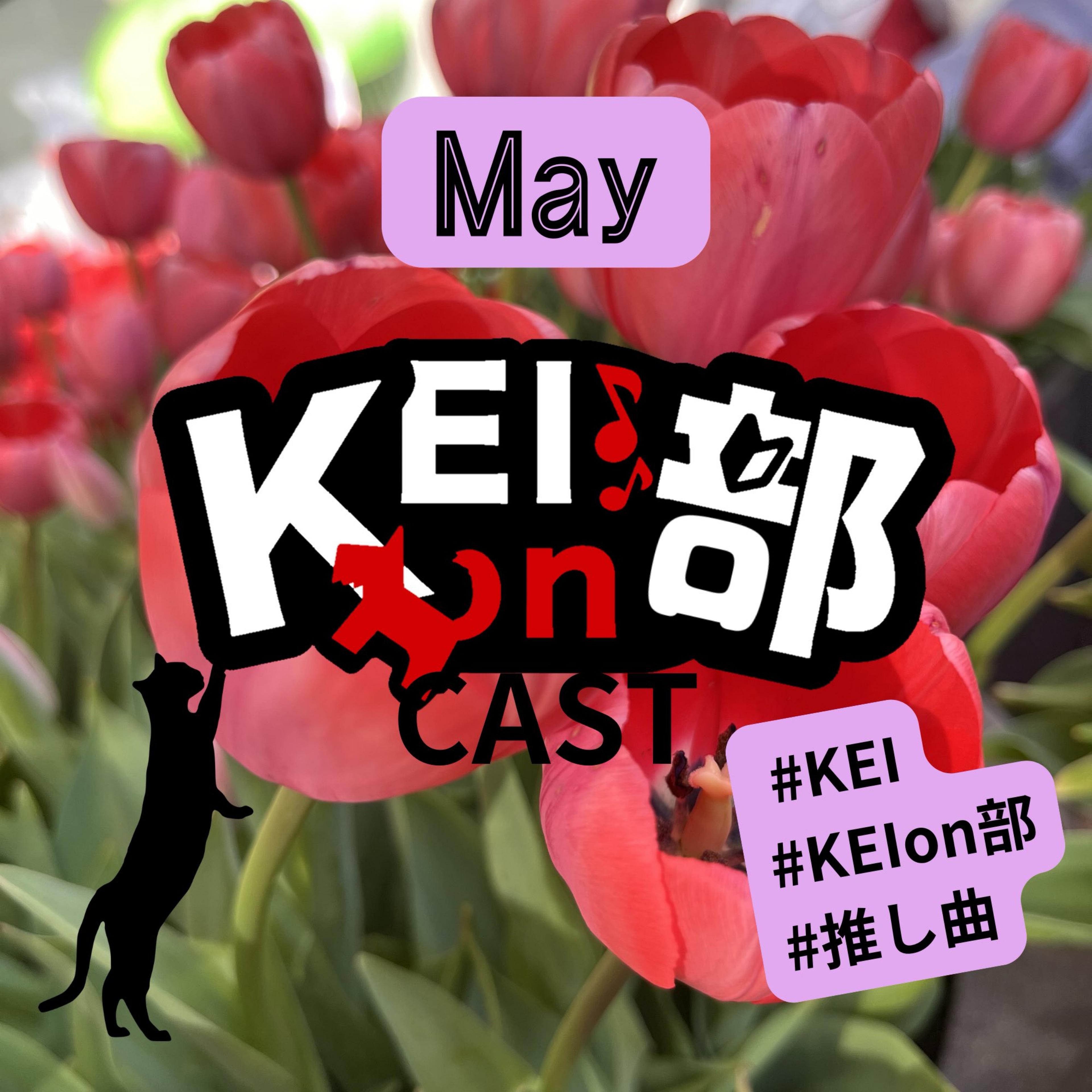 ☆🍫KEI.*˚