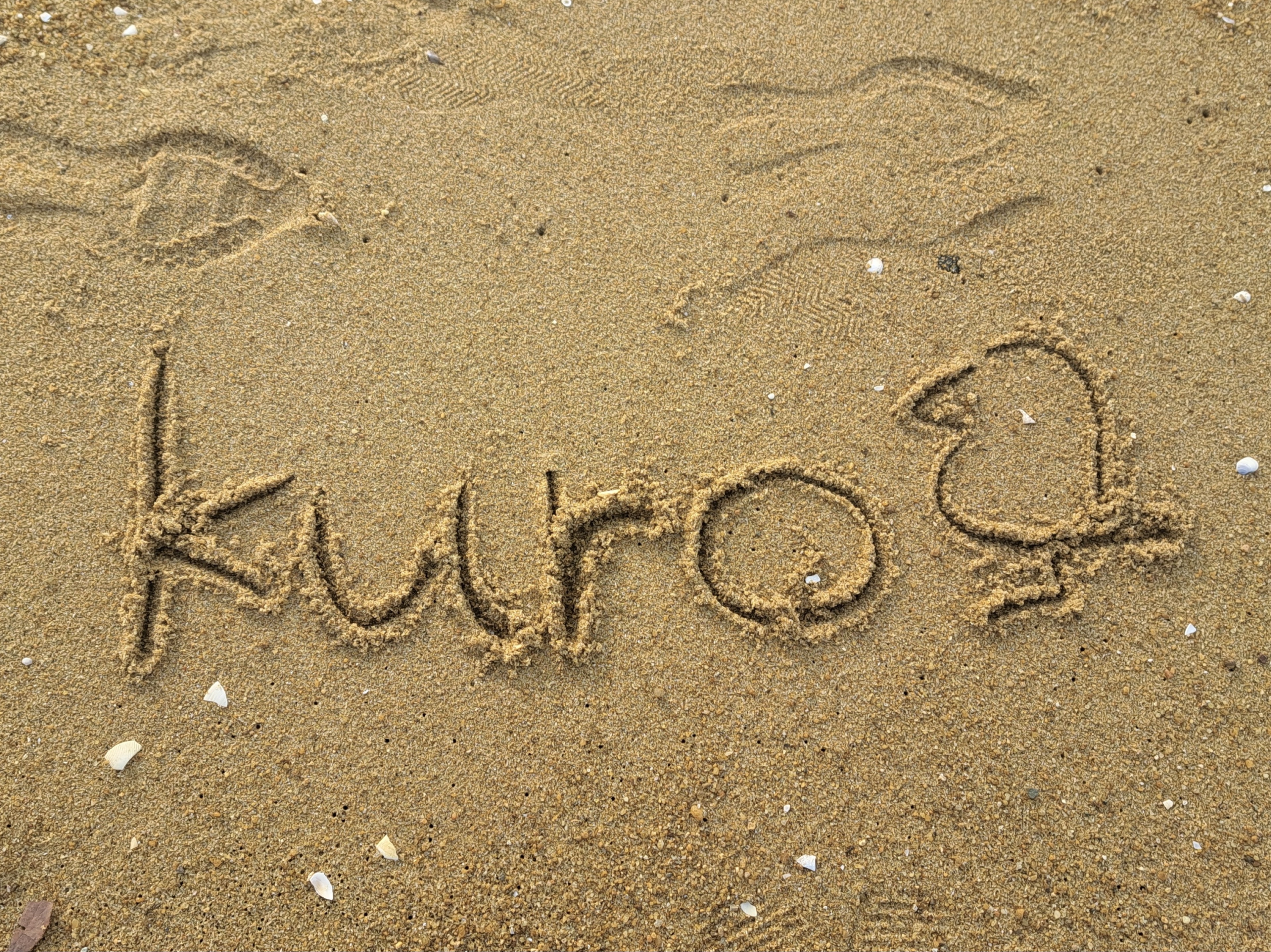 kuro𓅫⸒⸒⁹₆