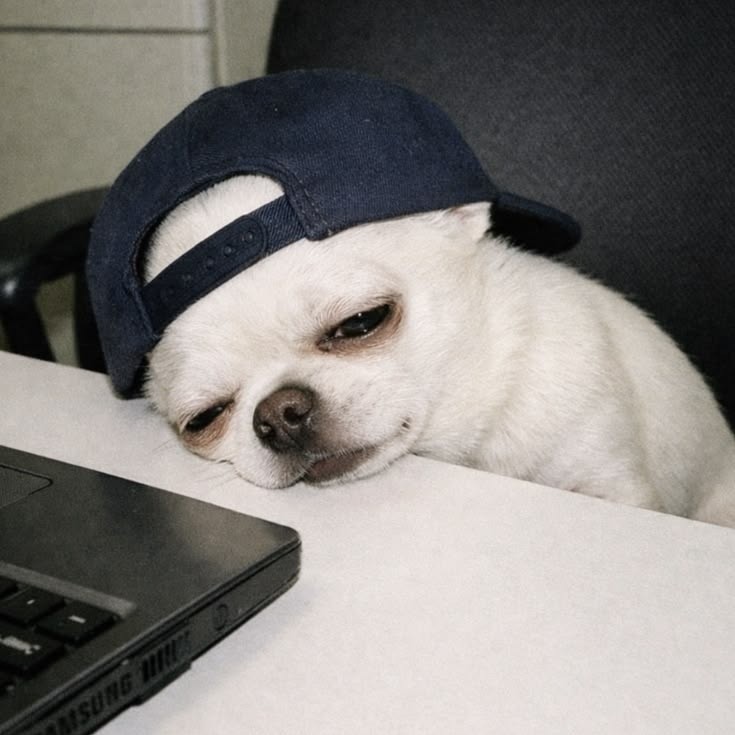 ᵘ᥆