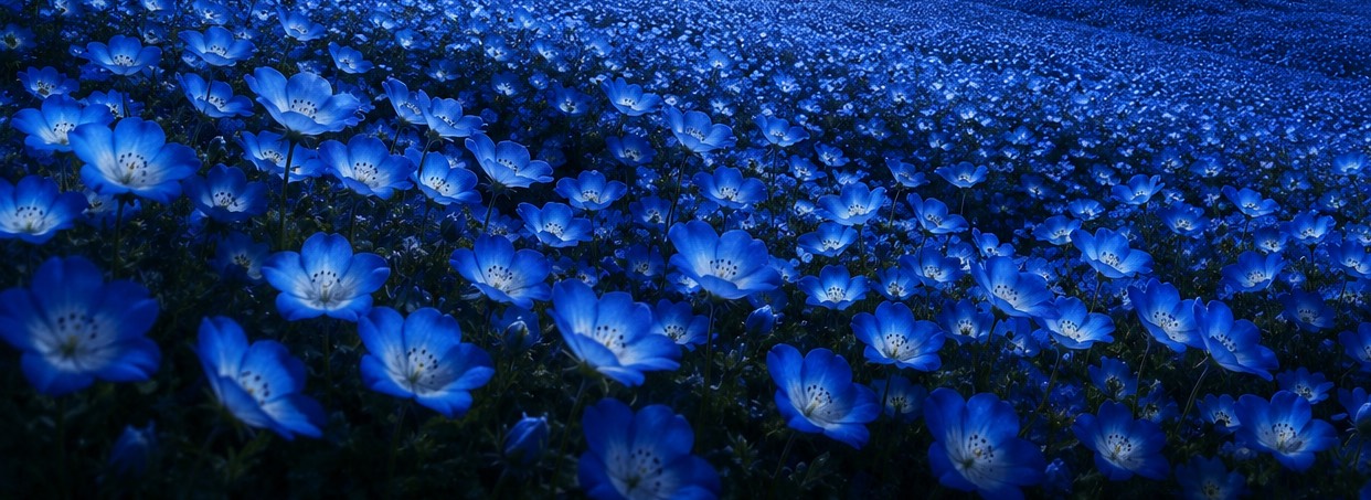 ᵐˢ𓈒𓏸ྀི 瞑想 💙💙💙