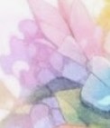 はち‪☺︎