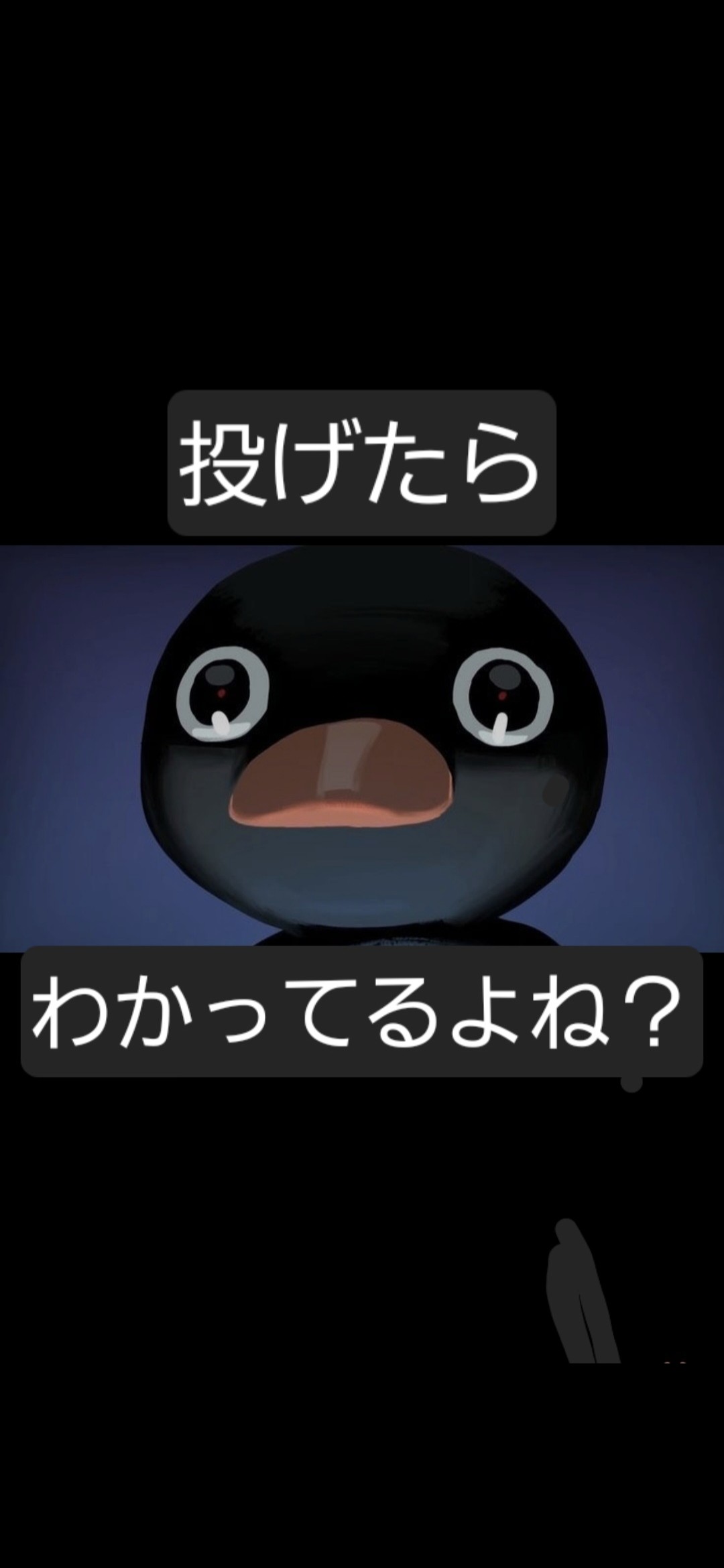 ♡̷ᴷ*.間 黒男ღ𝒞ྀི&𝒦໒