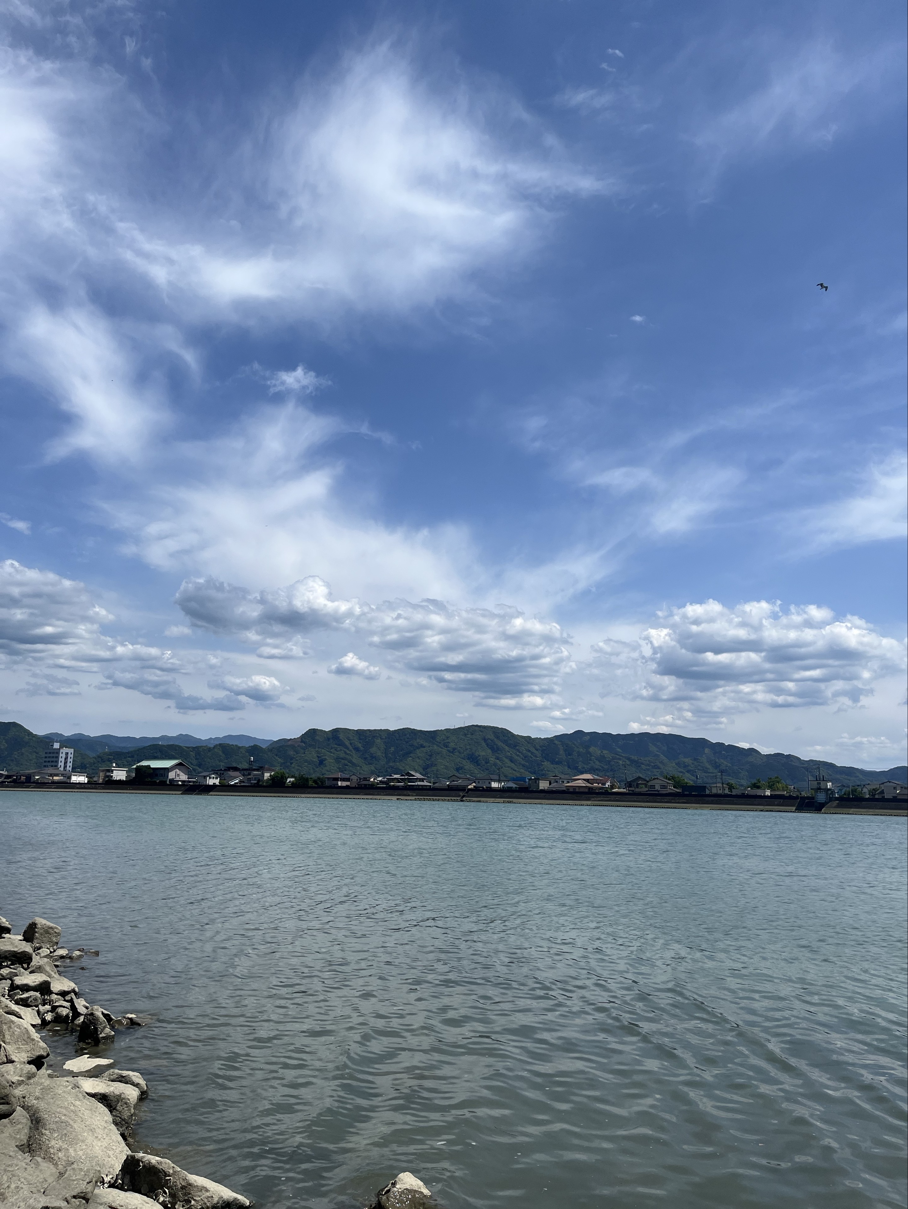 ゆう